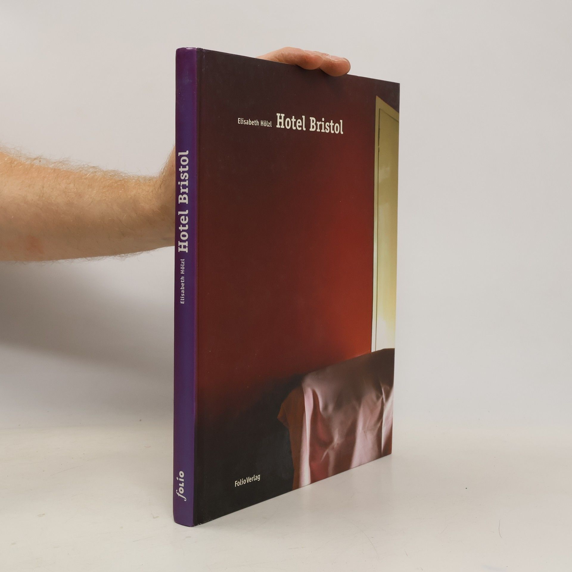 Elisabeth Hölzl Hotel Bristol. Ediz. italiana e tedesca