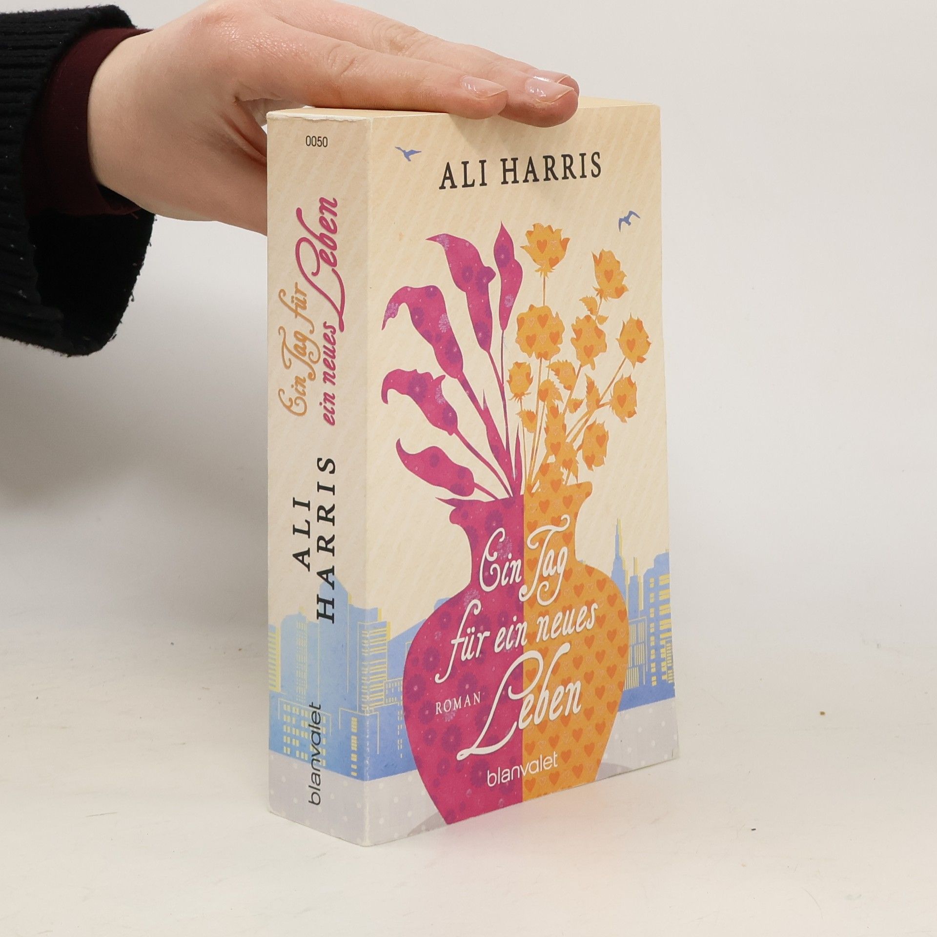 Ali Harris Ein Tag für ein neues Leben