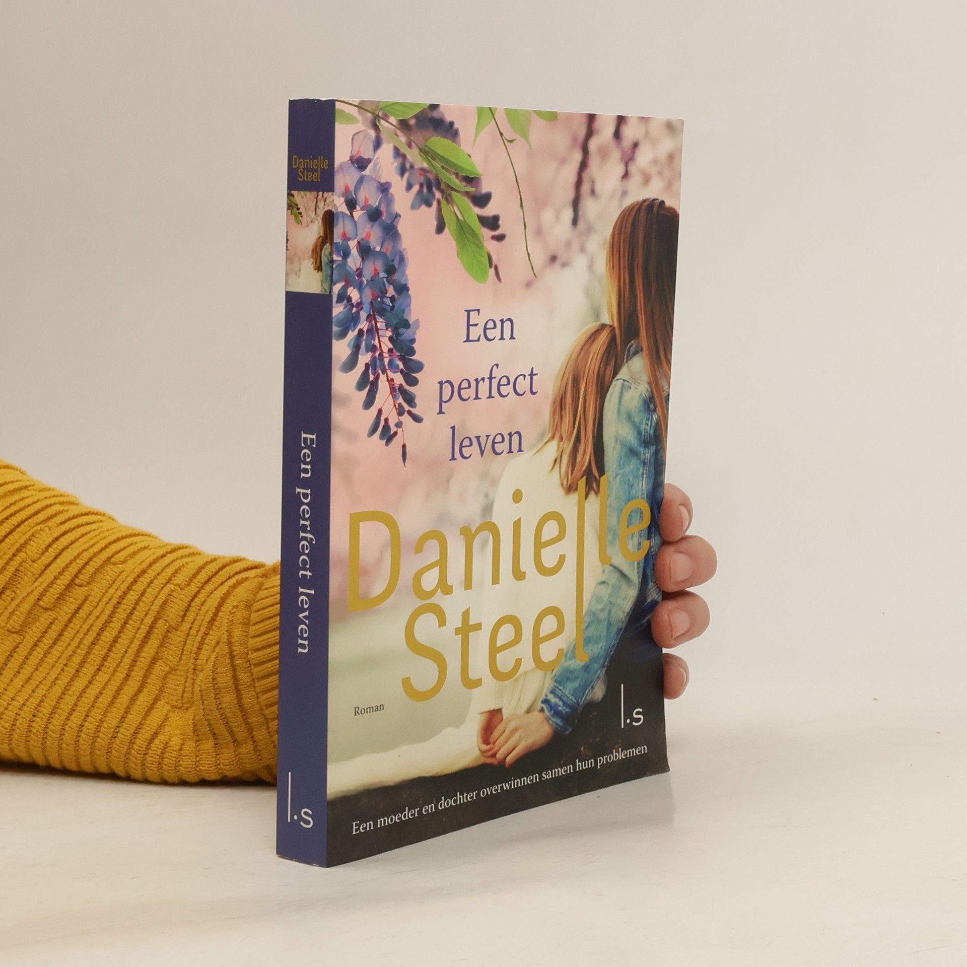 Danielle Steel Een perfect leven