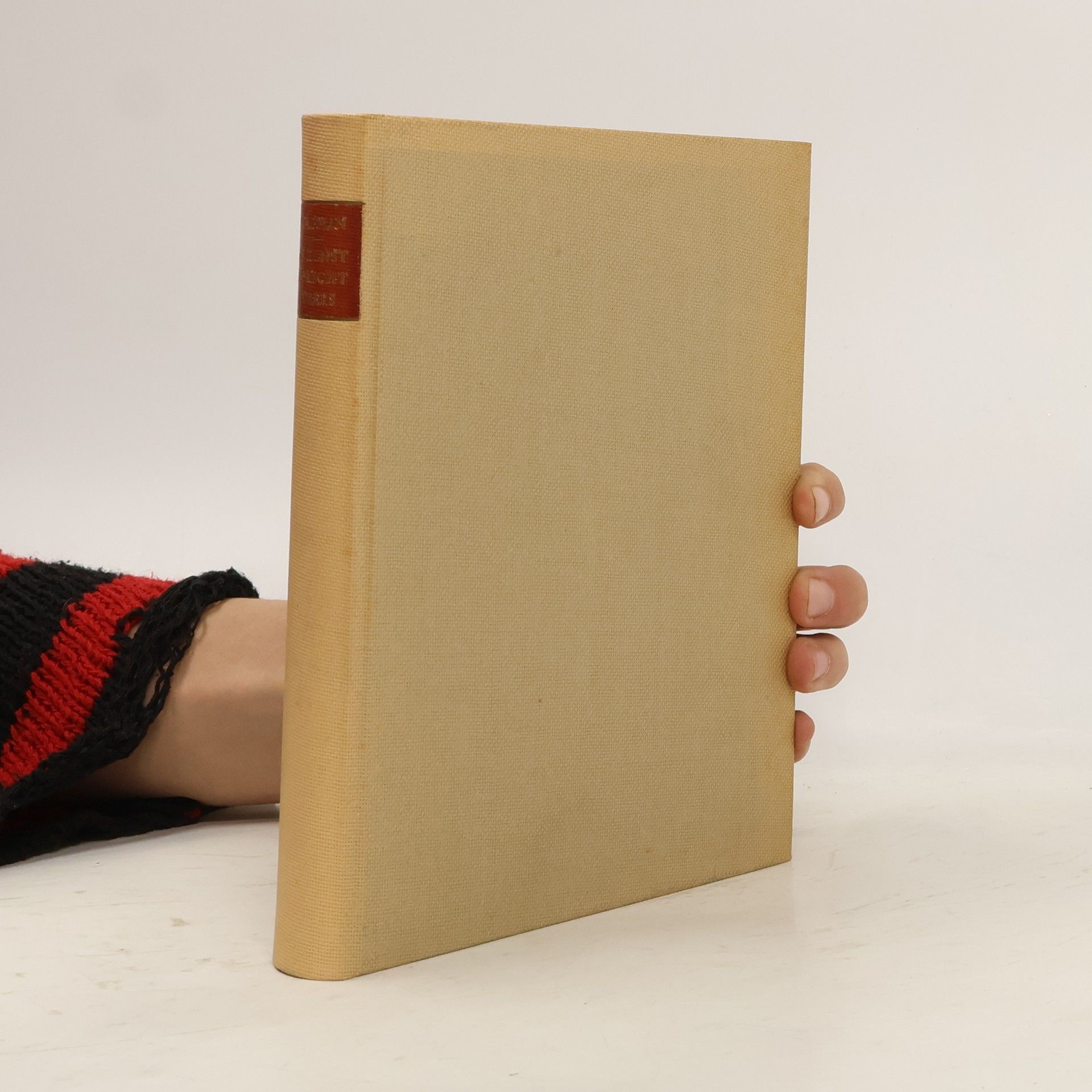 Heinrich Wölfflin Die Kunst Albrecht Dürers