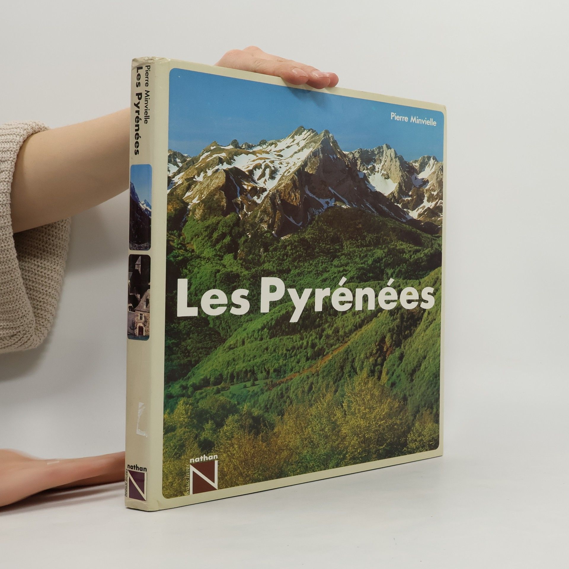 Pierre Minvielle Les Pyrénées