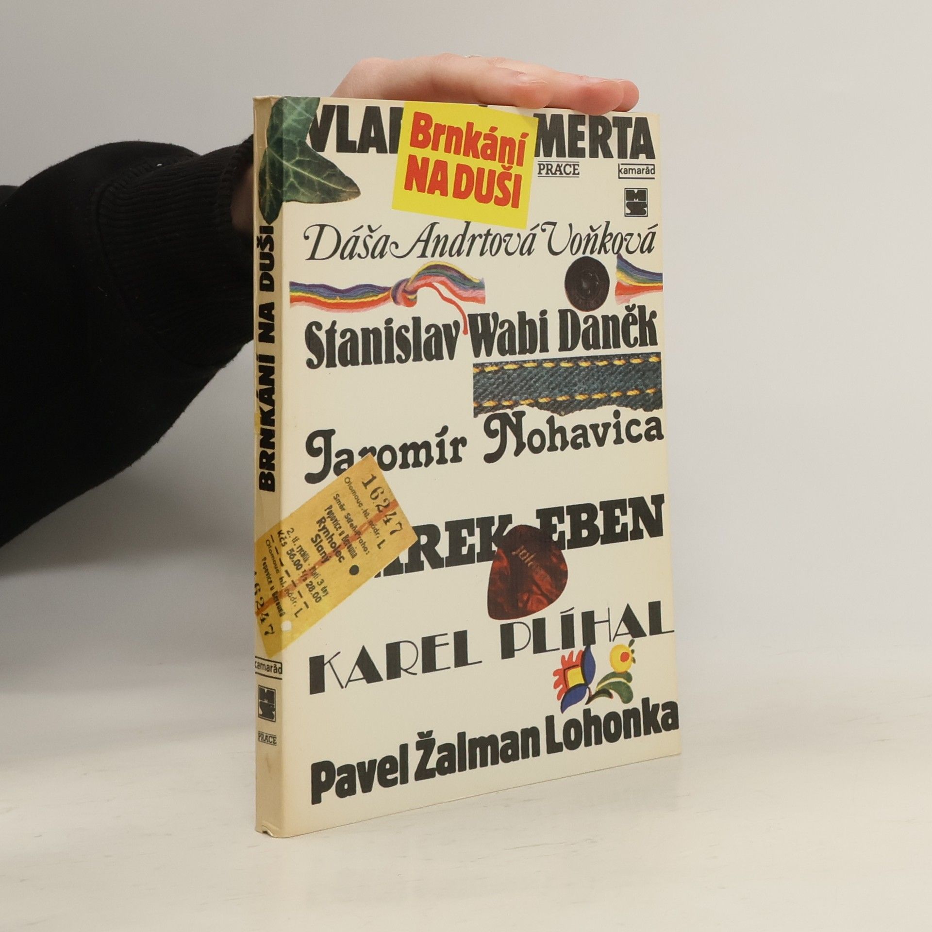 Autorenkollektiv Brnkání na duši