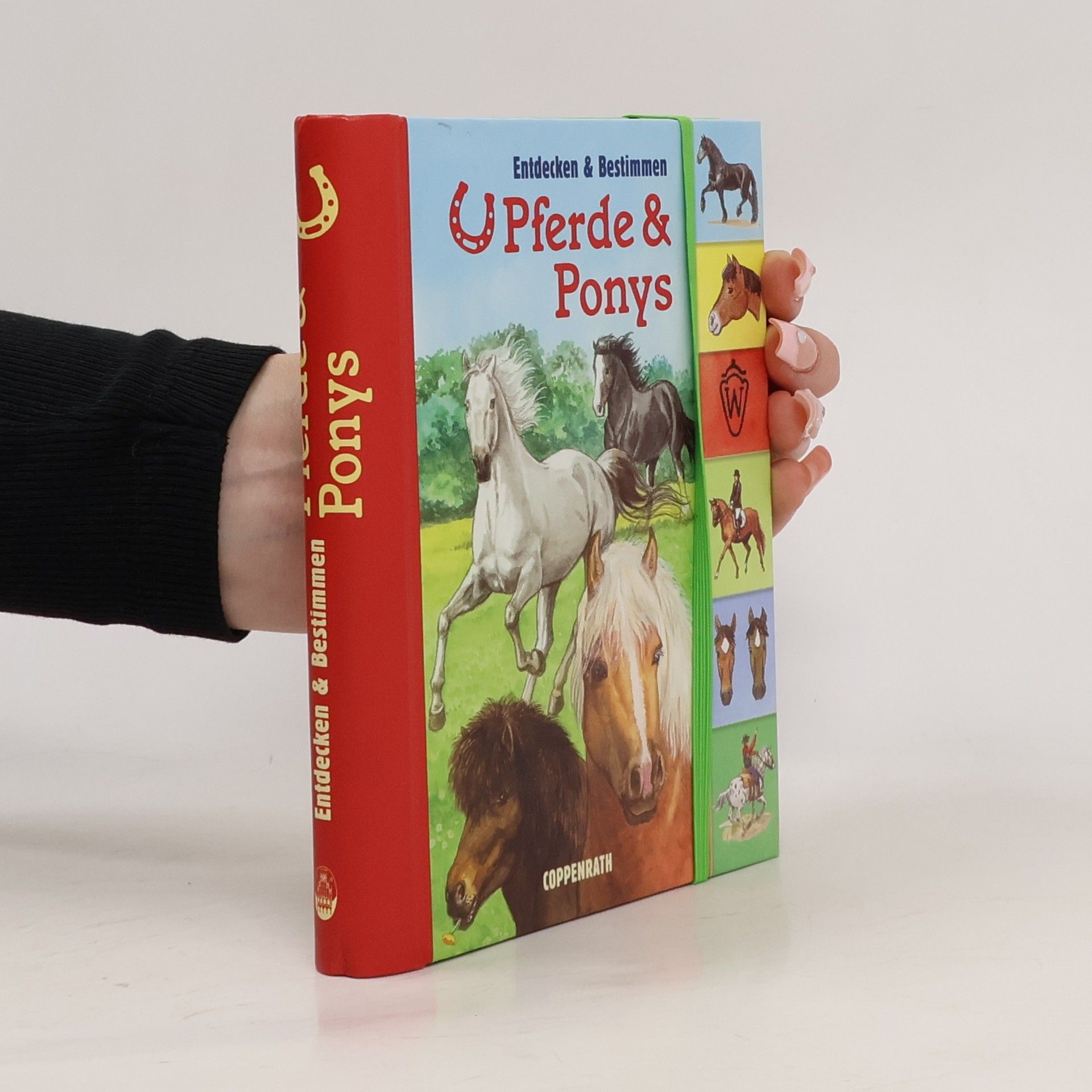 Barbara Wernsing Bottmeyer Pferde & Ponys