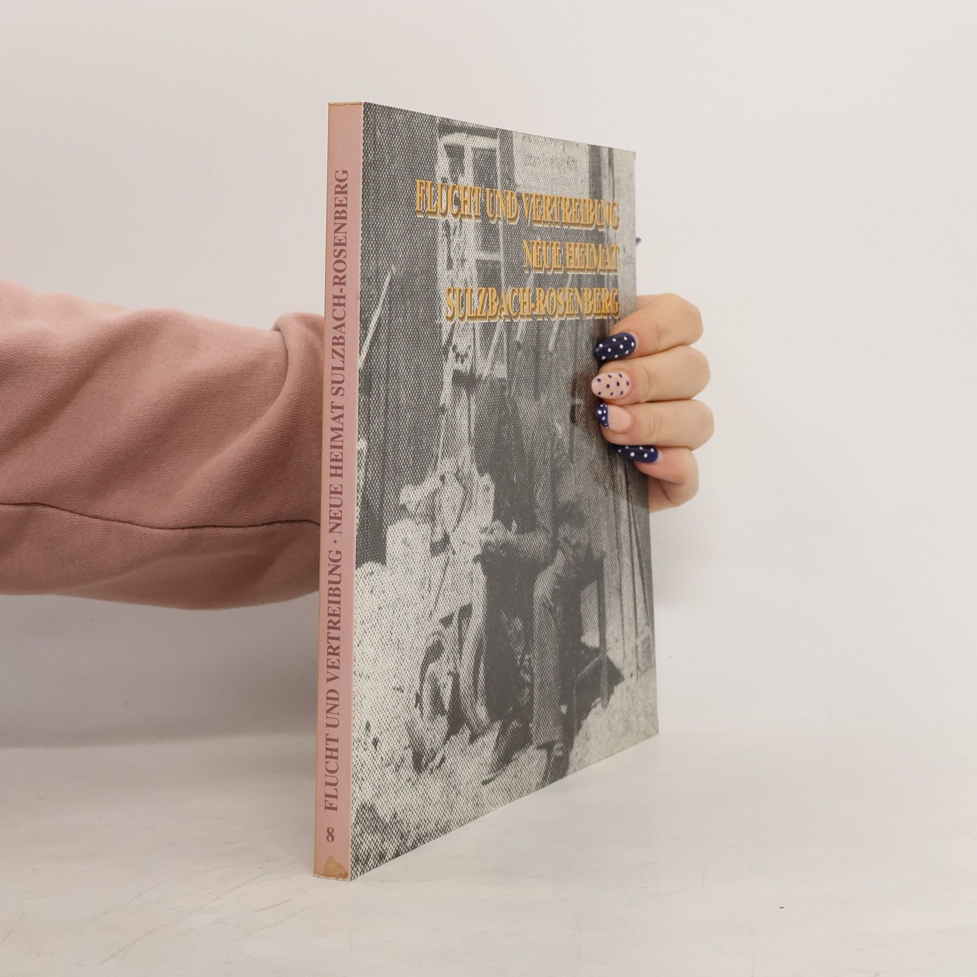 Johannes Hartmann Flucht und Vertreibung - neue Heimat Sulzbach-Rosenberg ; Stadtmuseum Sulzbach-Rosenberg, Sonderausstellung 20. Oktober 1996 bis 9. März 1997