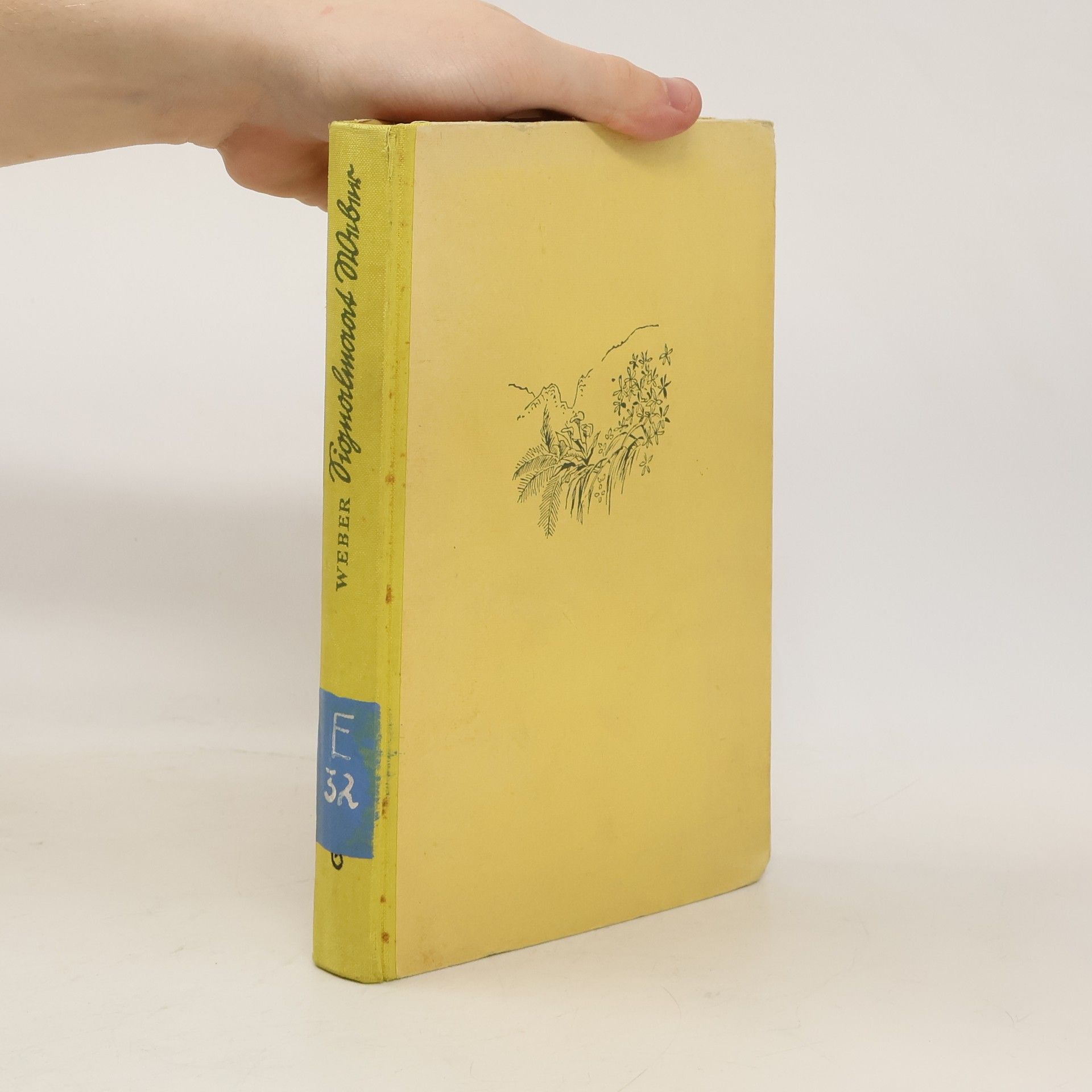 Hugo Weber Gignalmaat Weber