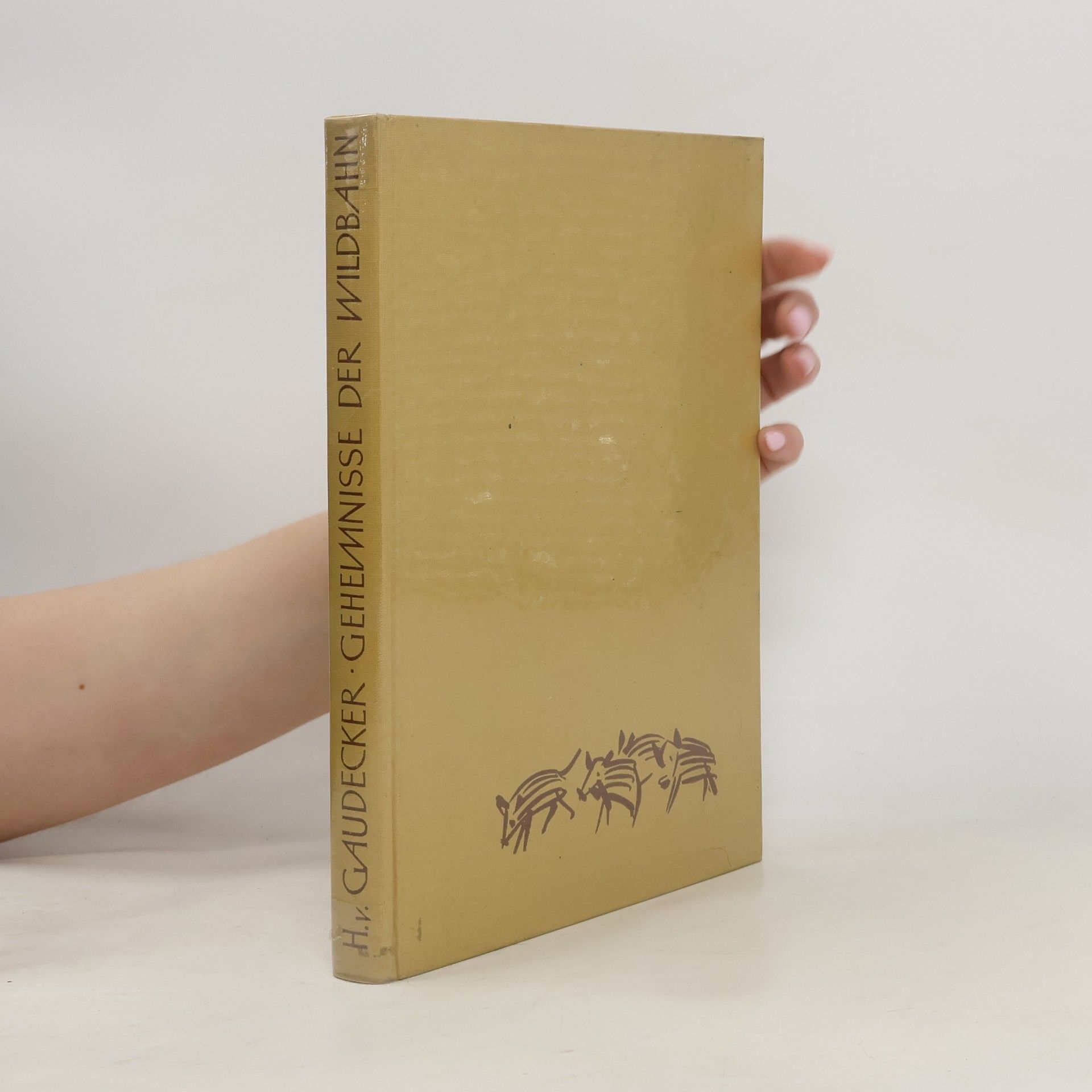 Hans von Gaudecker Geheimnisse der Wildbahn