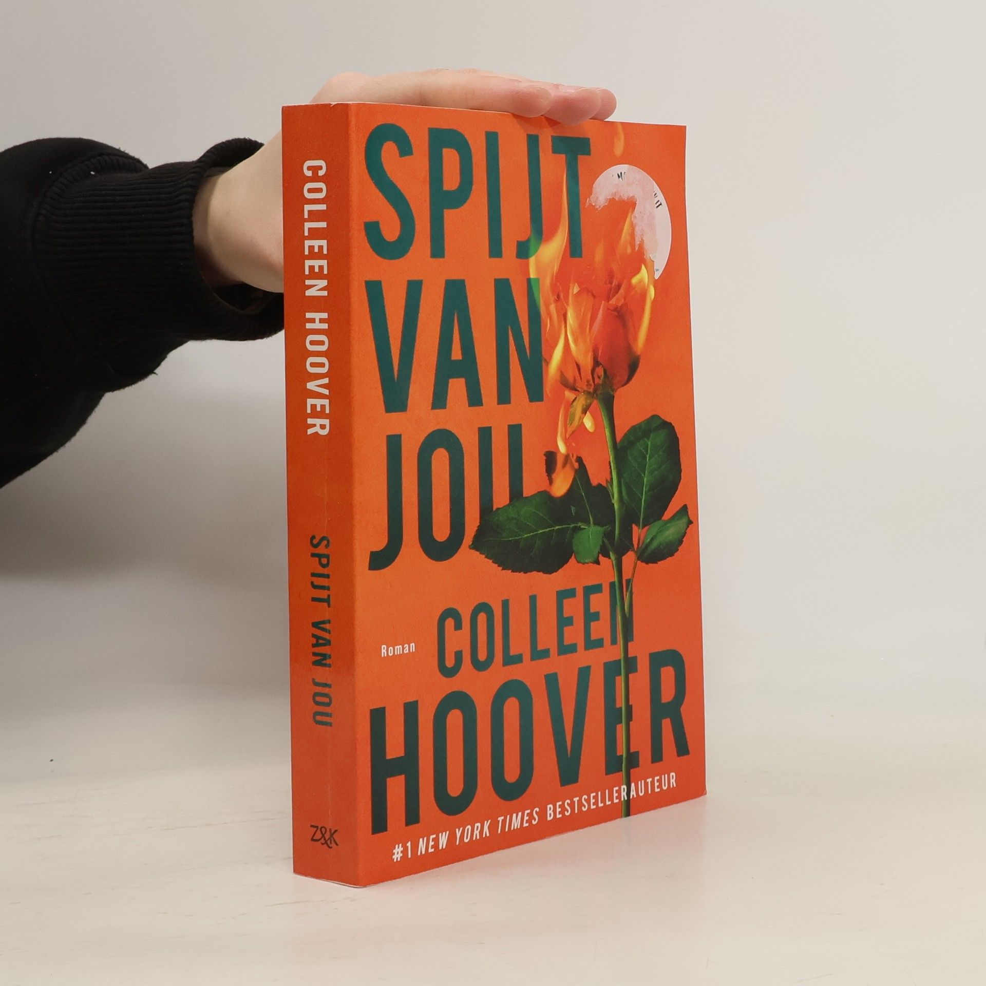 Colleen Hoover Spijt van jou