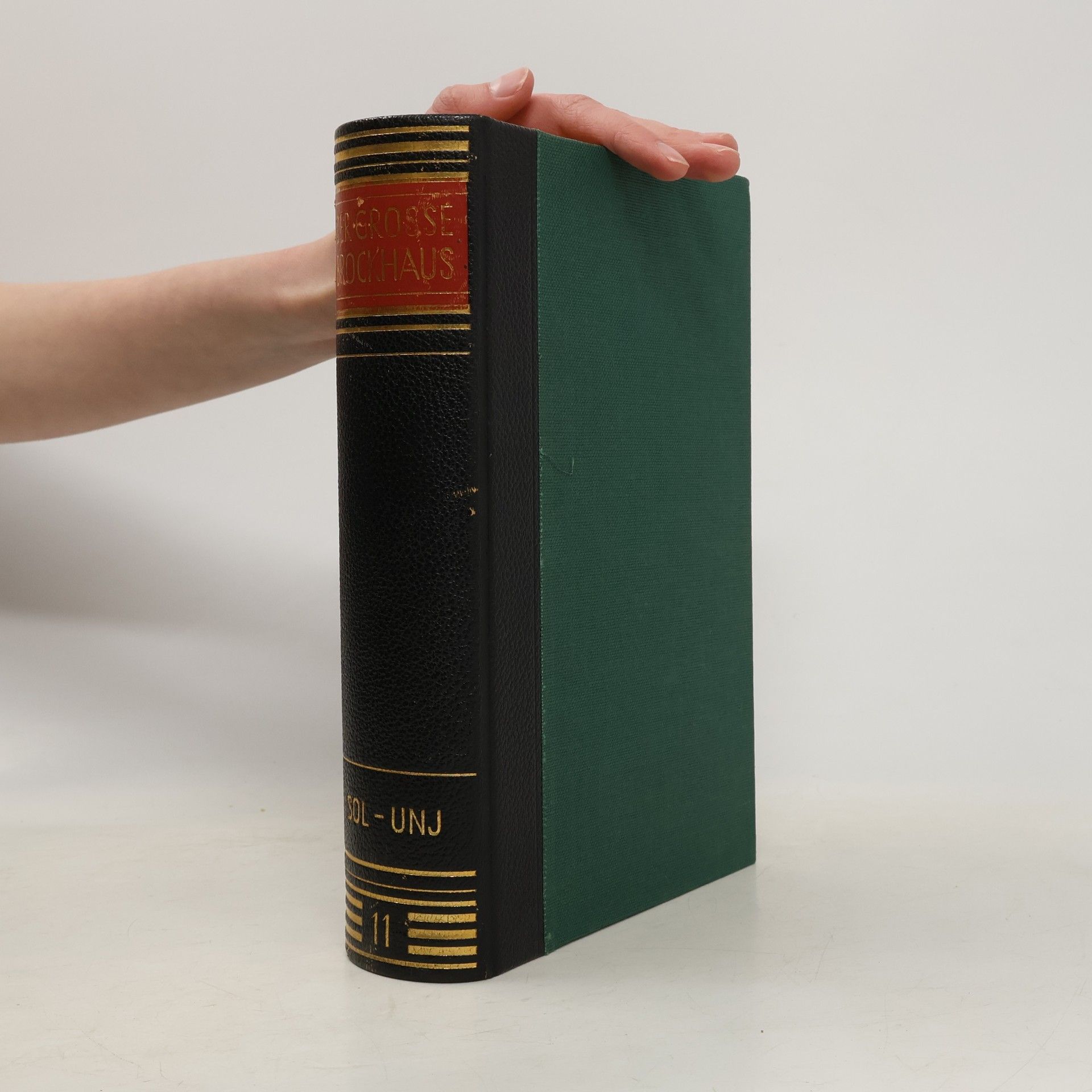 Autorenkollektiv Der grosse Brockhaus 11. Sol-Unj