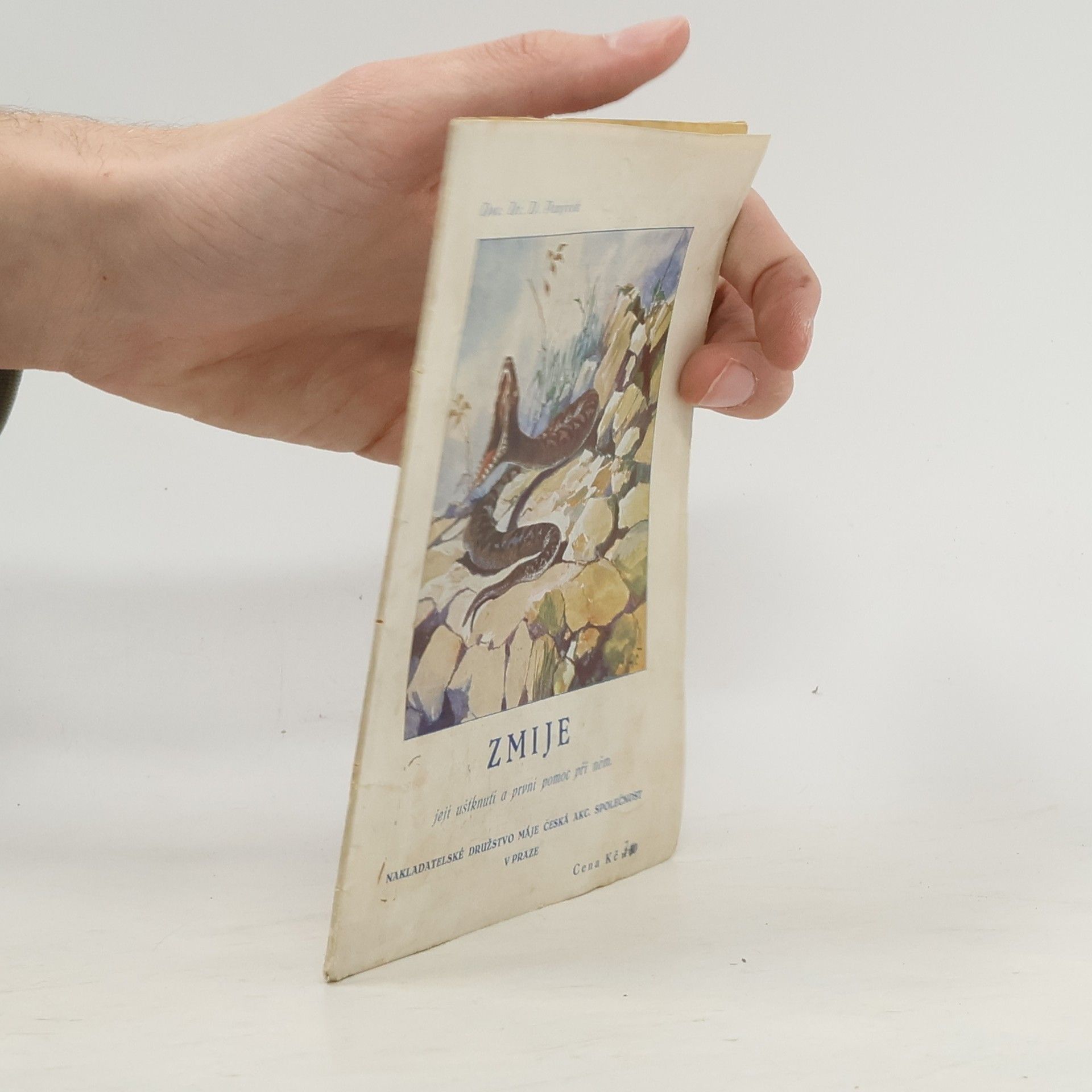 D. Panýrek Zmije a její uštknutí a první pomoc při něm