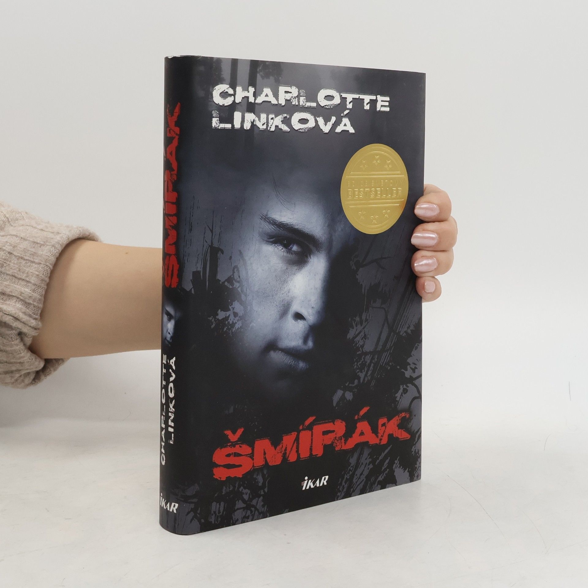 Charlotte Link Šmírák