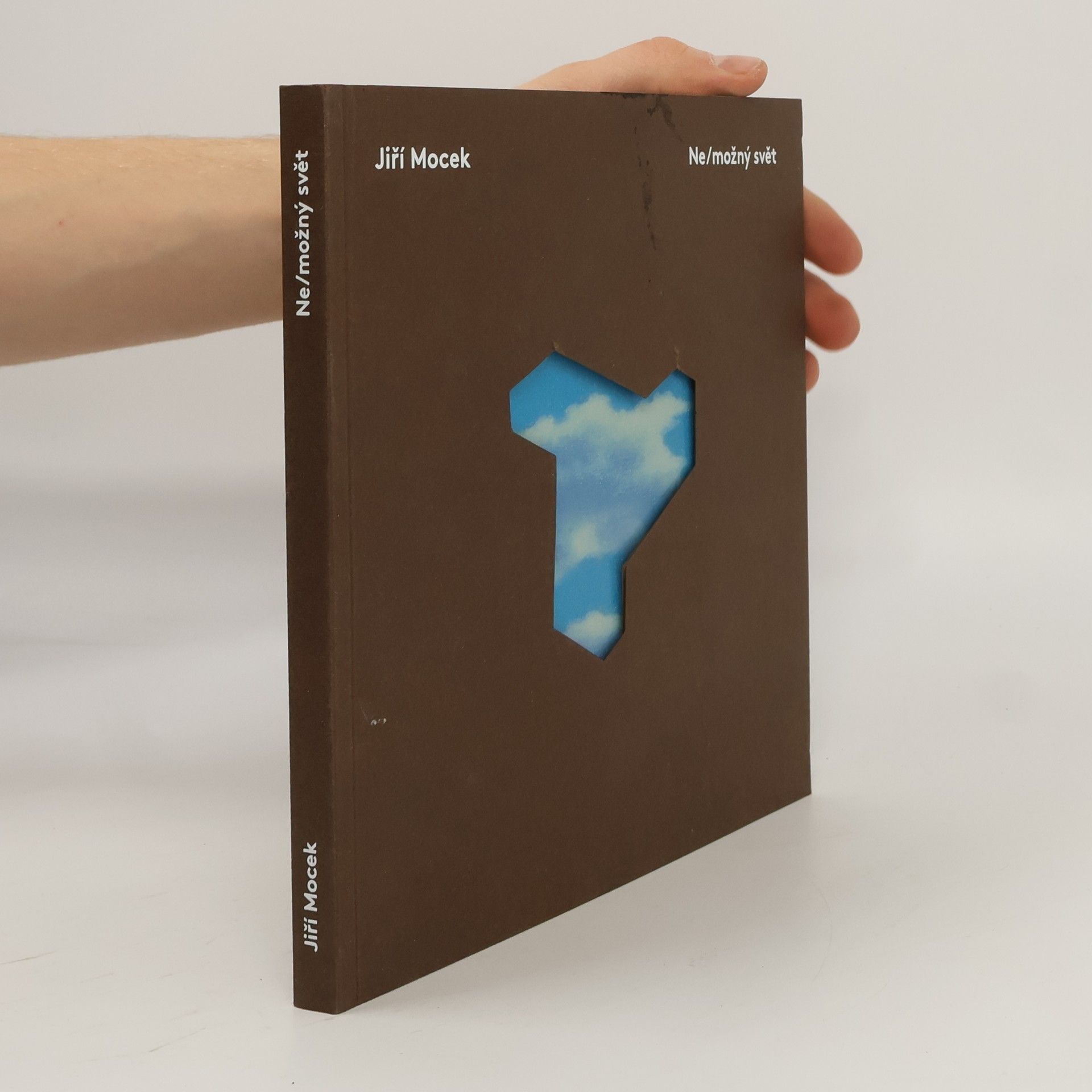 Ne/možný svět