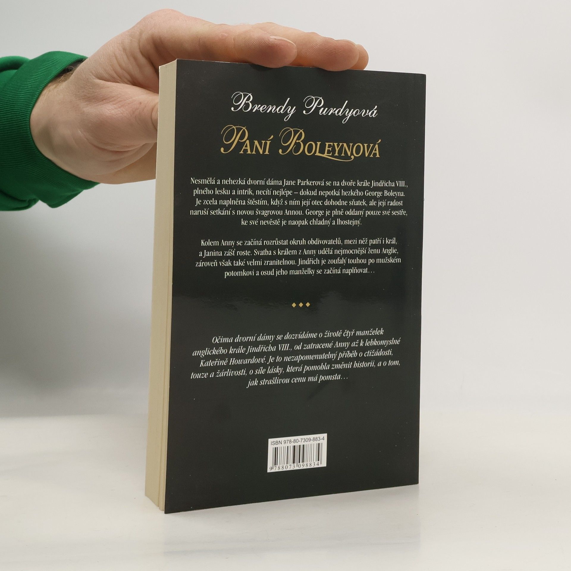 Brandy Purdy Paní Boleynová : příběh velké lásky a ještě větší nenávisti