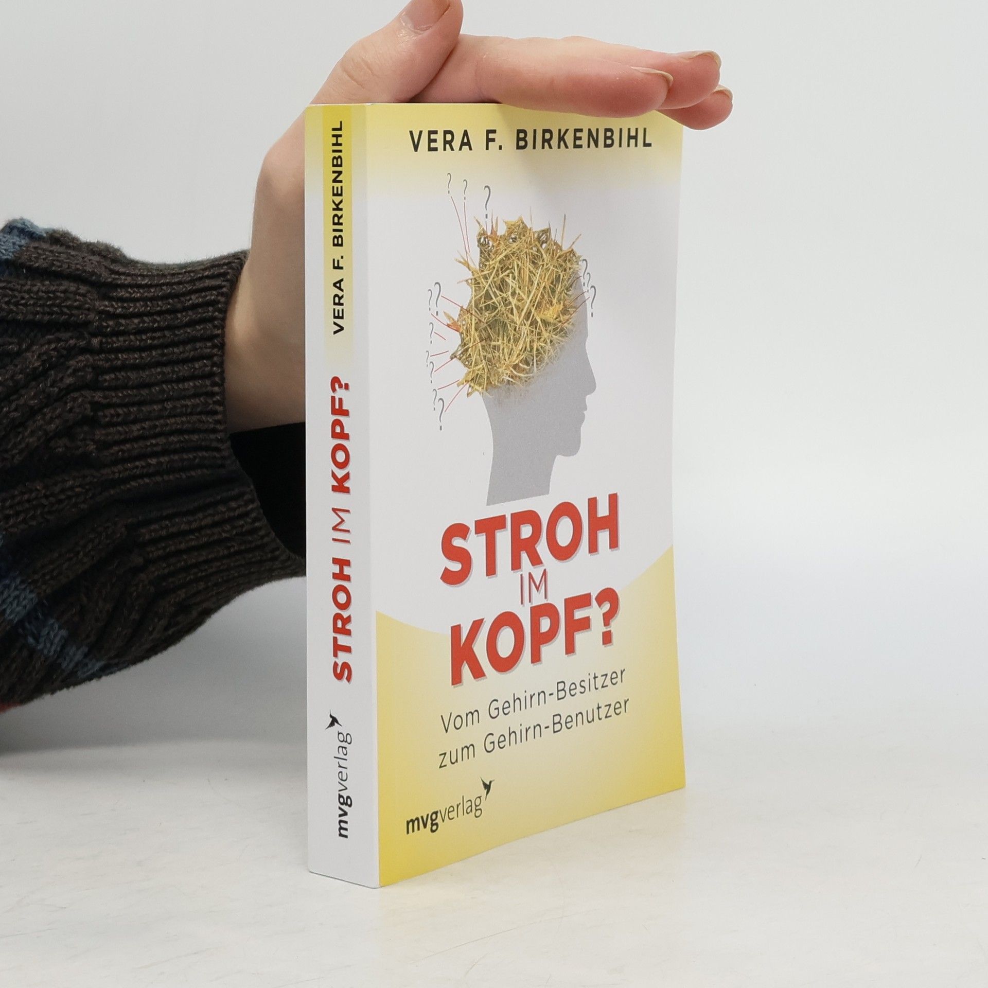 Vera Birkenbihl Stroh im Kopf?