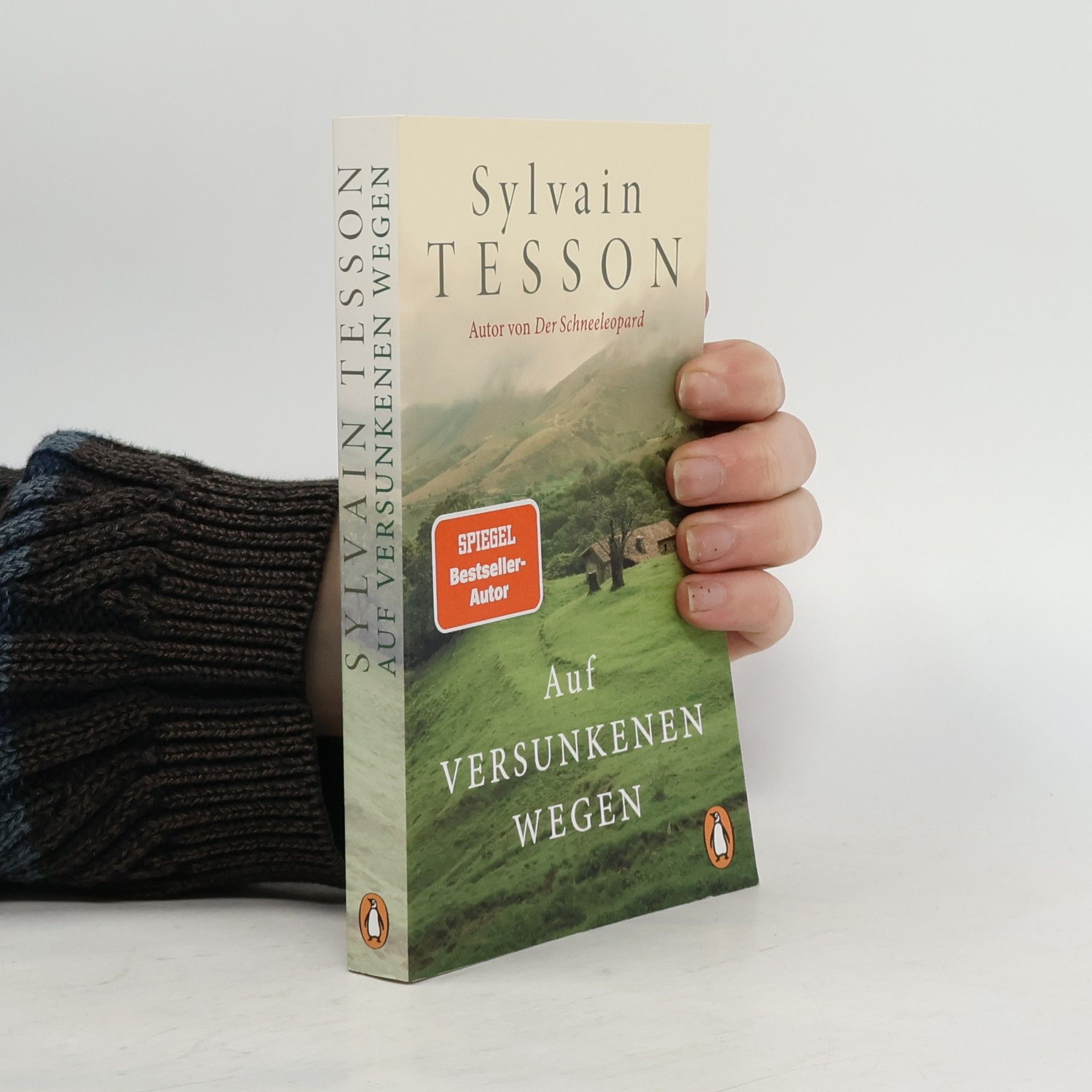 Sylvain Tesson Auf versunkenen Wegen