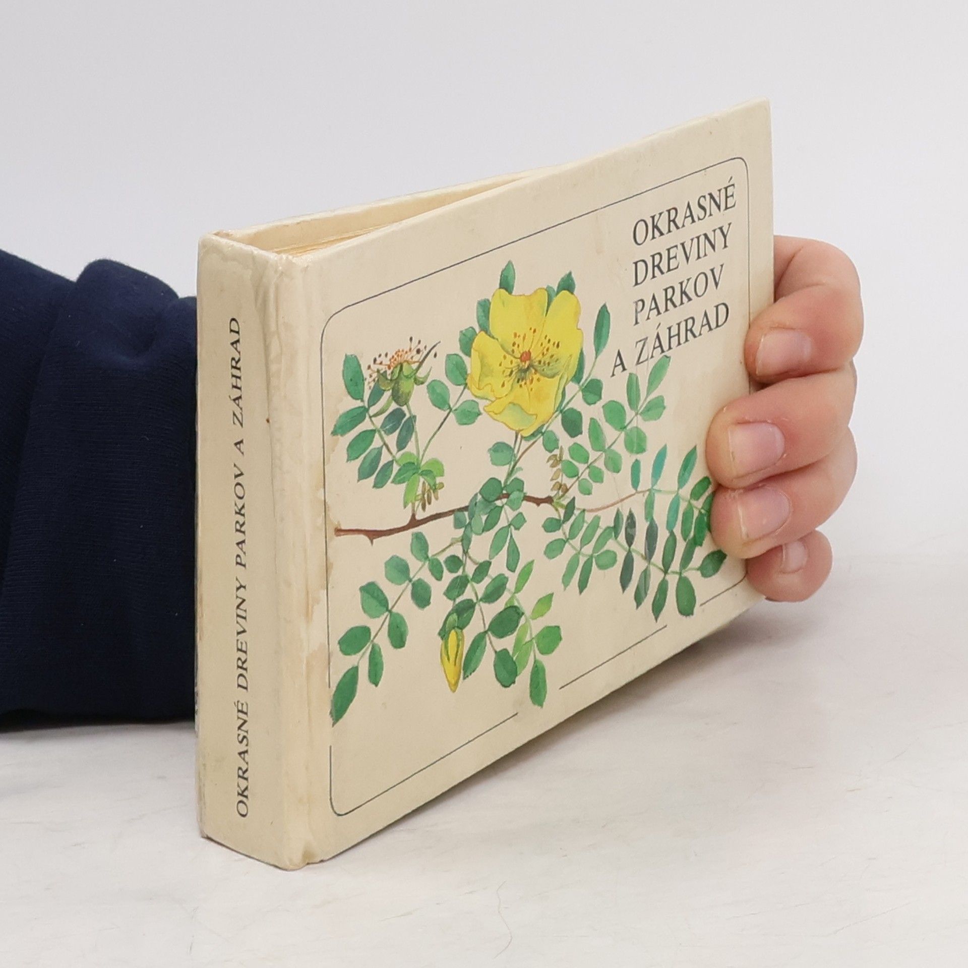 Okrasné dreviny parkov a záhrad