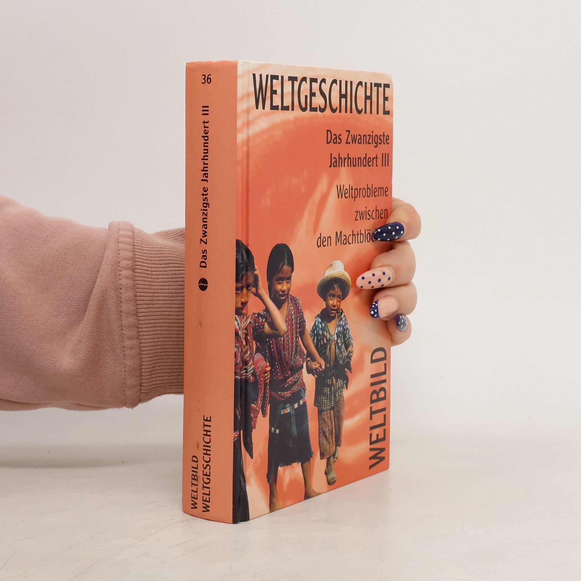 Kolektív autorov Weltgeschichte 36. Das Zwanzigste Jahrhundert III