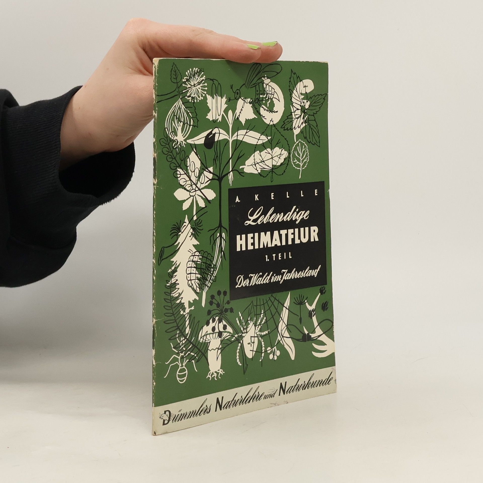 August Kelle Lebendige Heimatflur 1