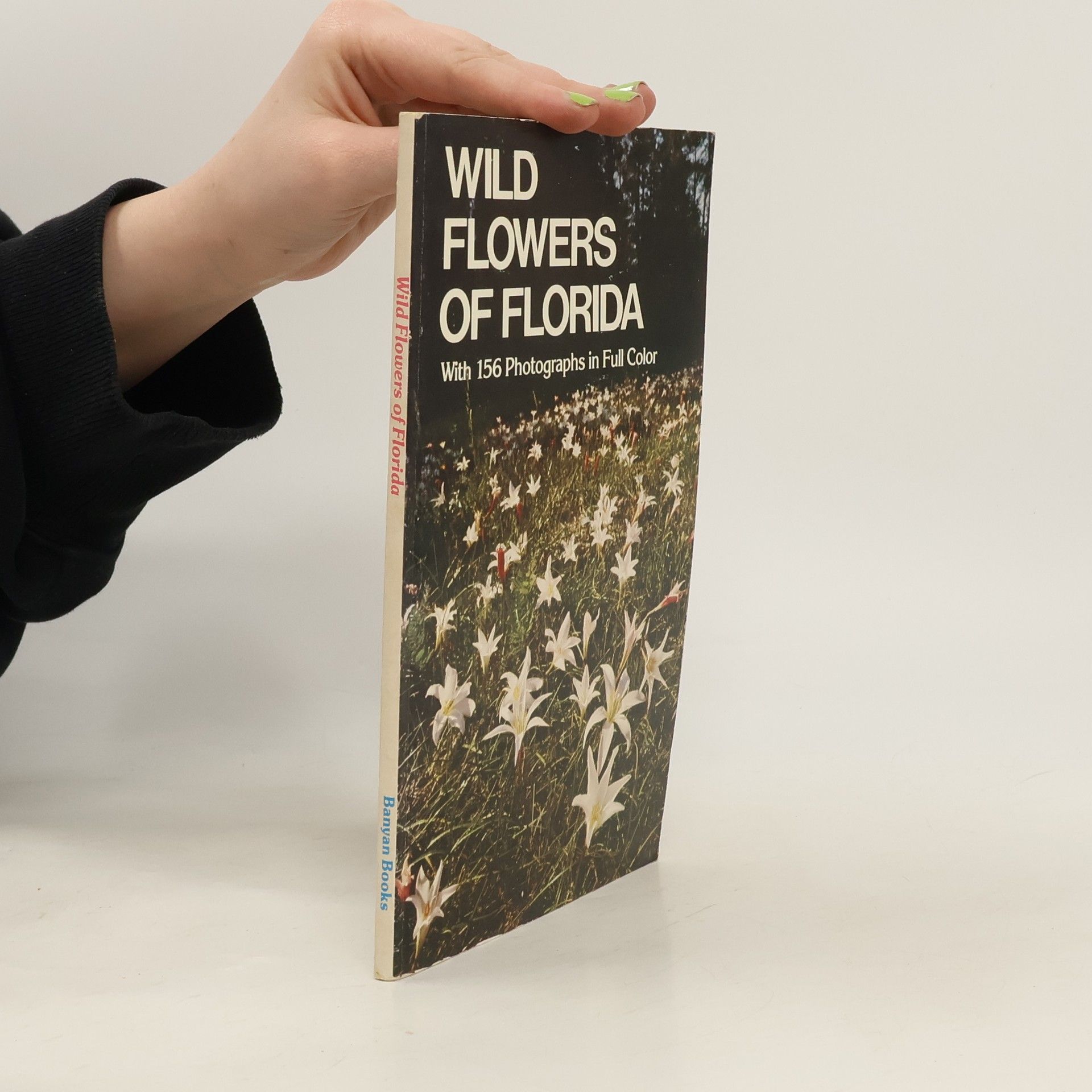 Wild Flowers of Florida