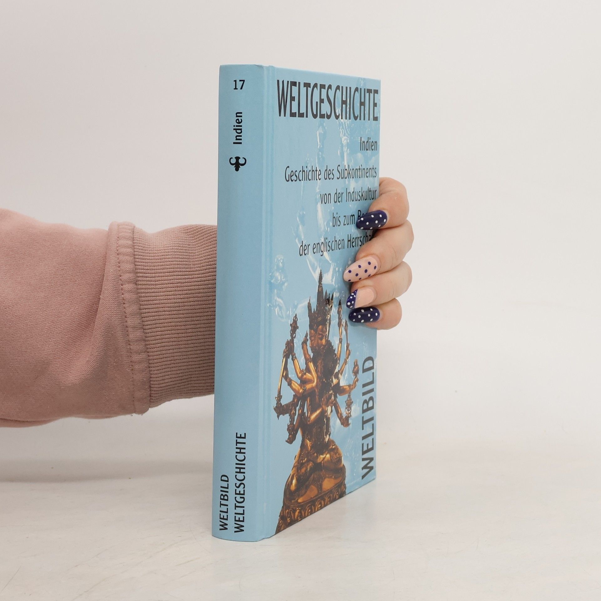 Auteurscollectief Weltgeschichte 17. Indien