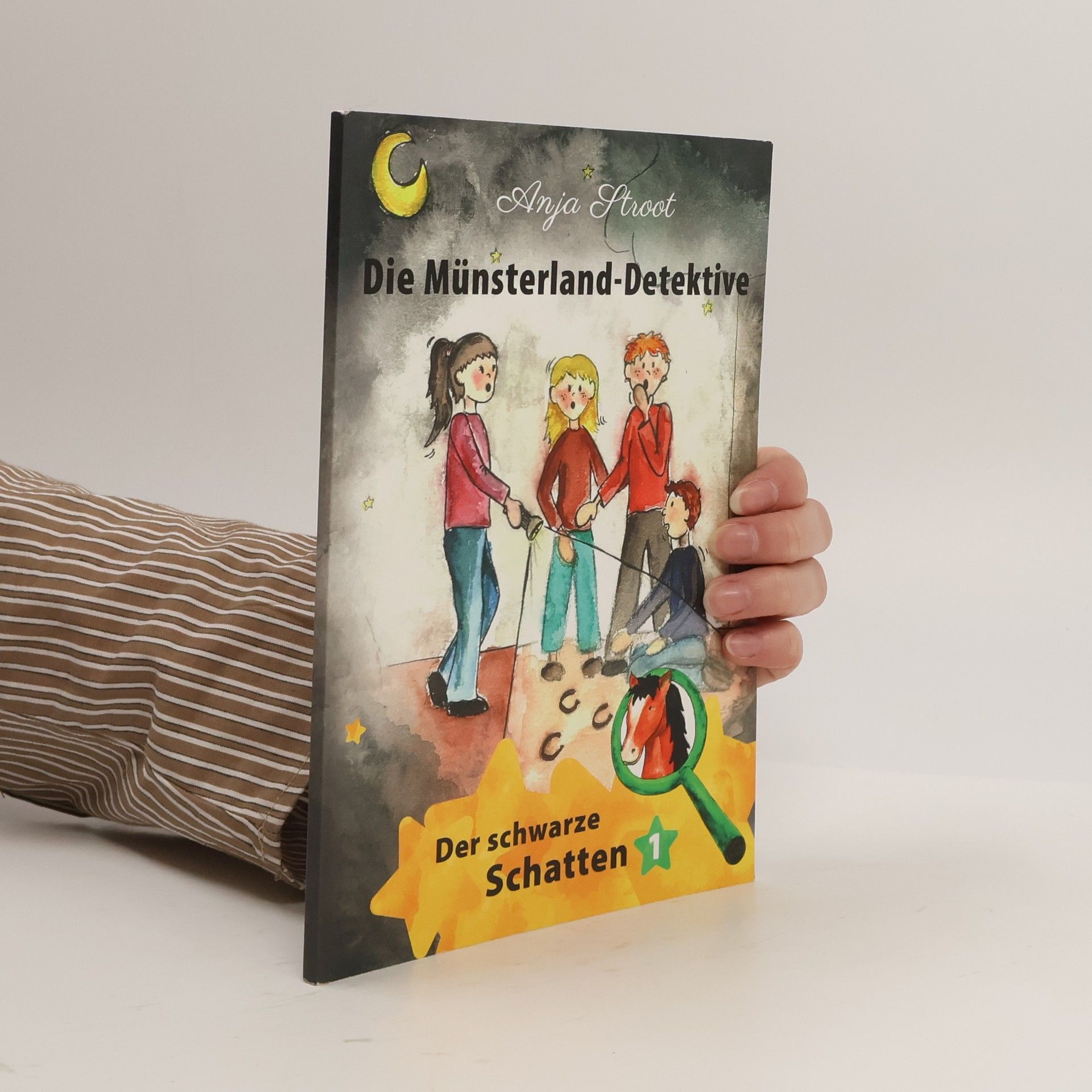 Die Müsterland Detektive. Der schwarze Schatten