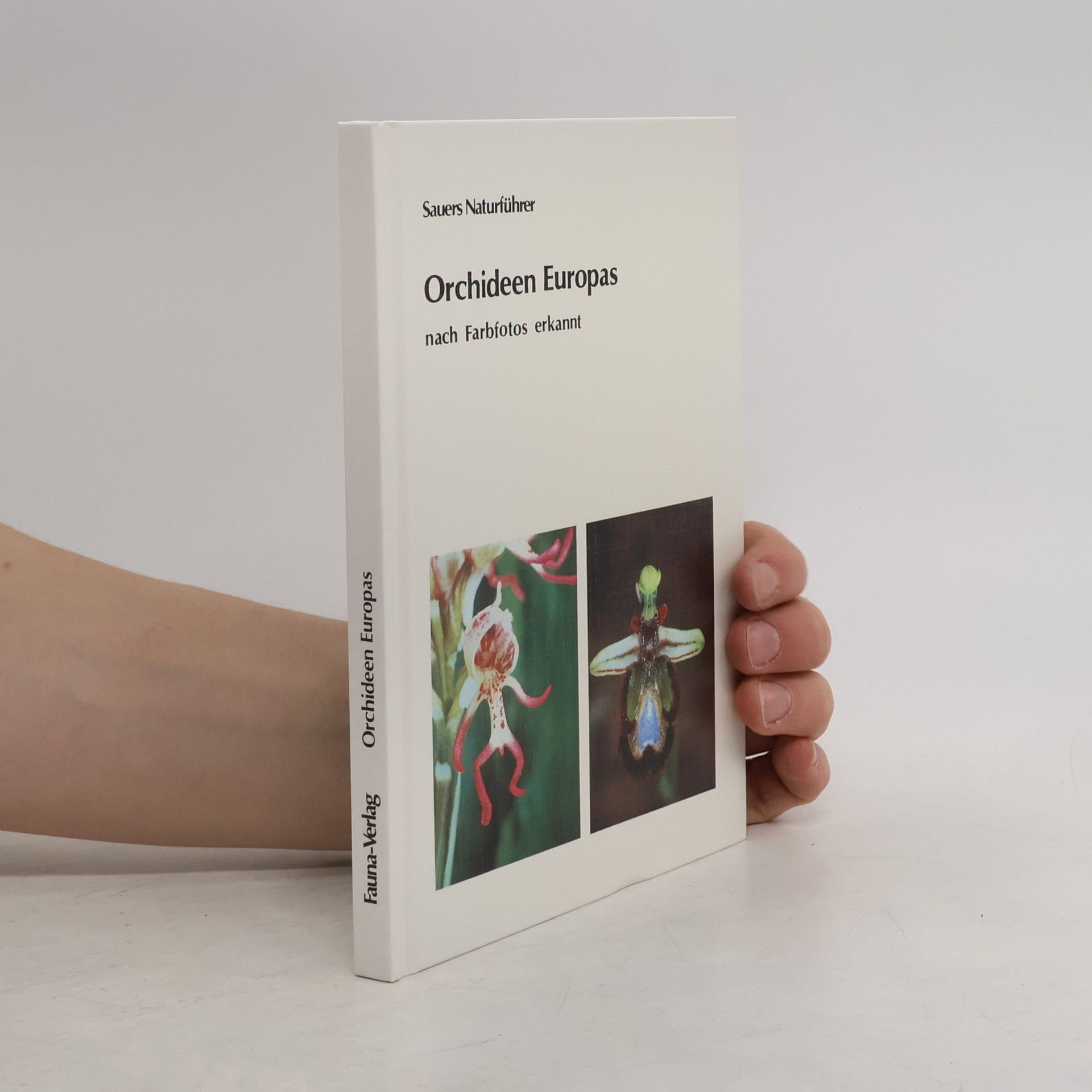 Sauer Frieder Orchideen Europas