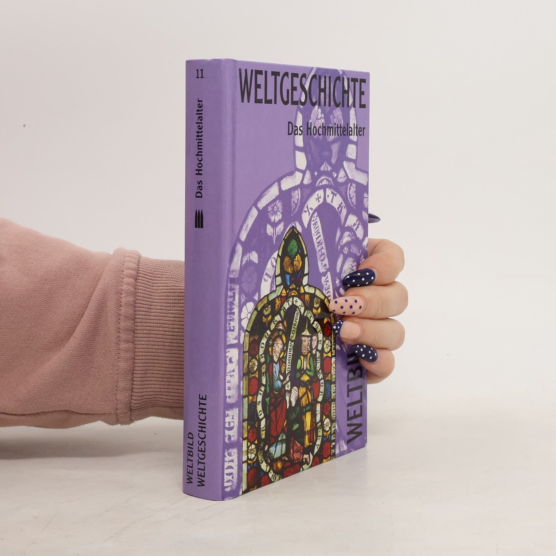 Collectif d'auteurs Weltgeschichte 11. Das Hochmittelalter
