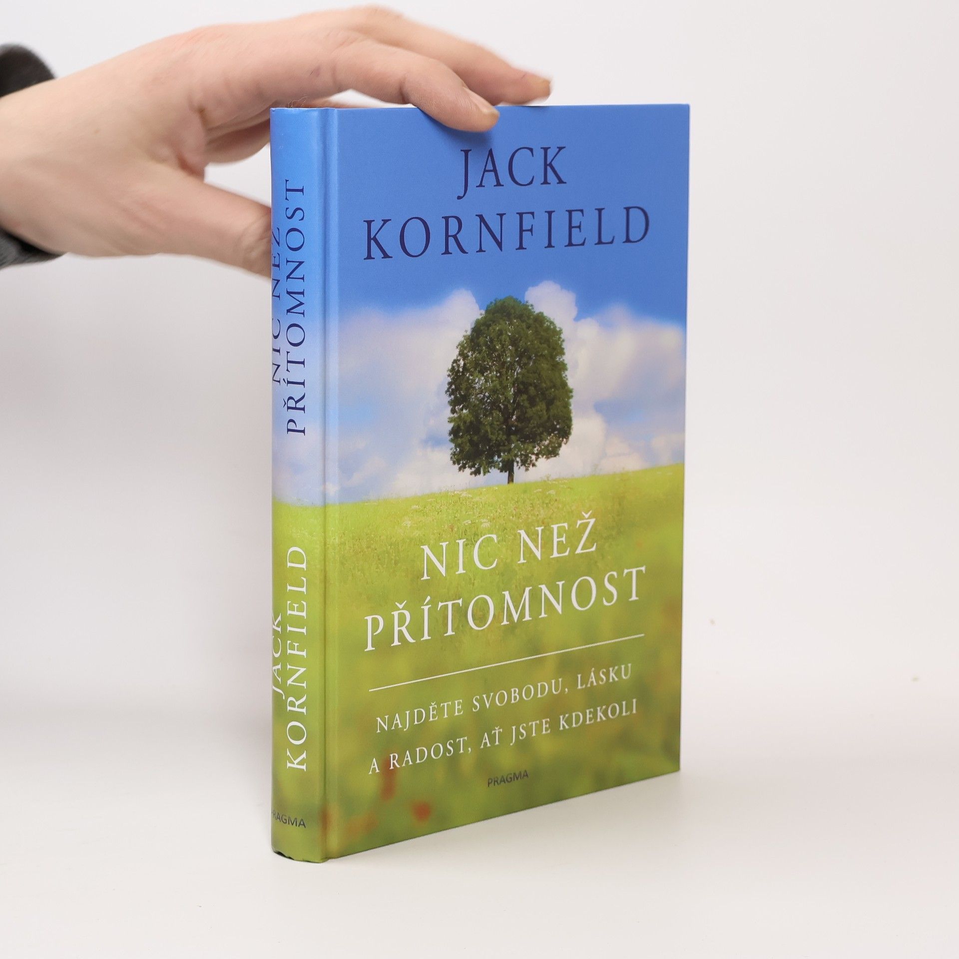 Jack Kornfield Nic než přítomnost
