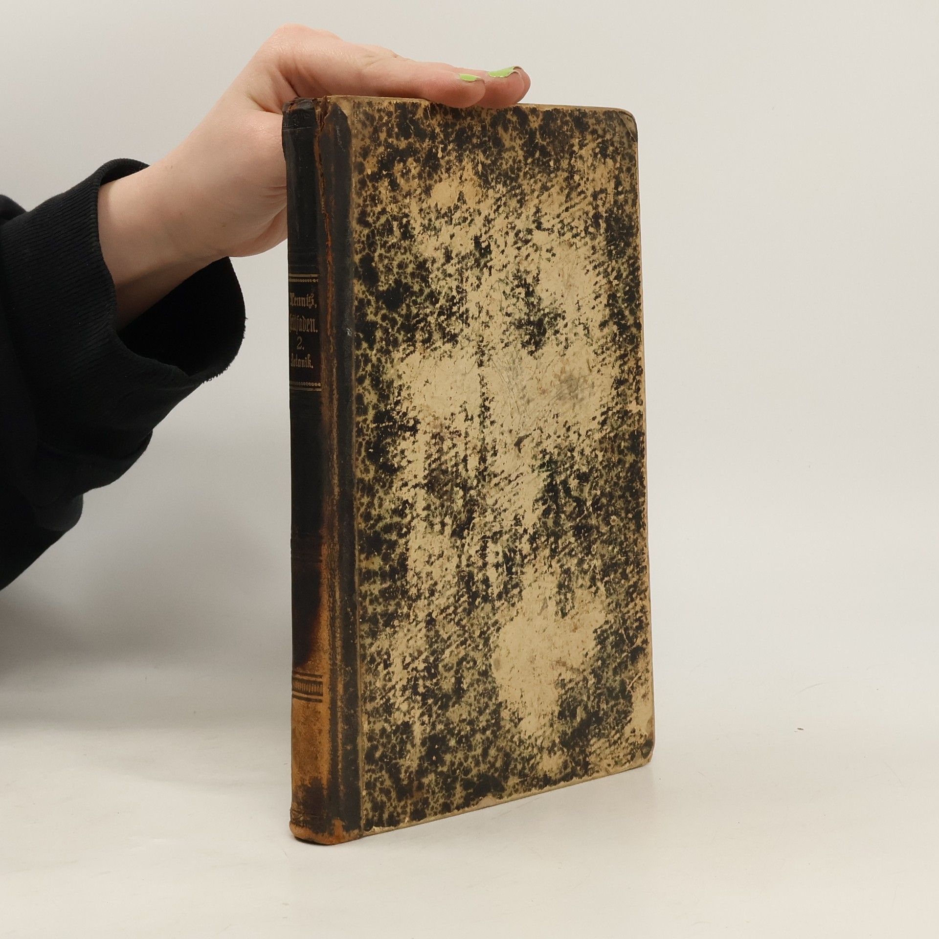 Analytischer Leitfaden