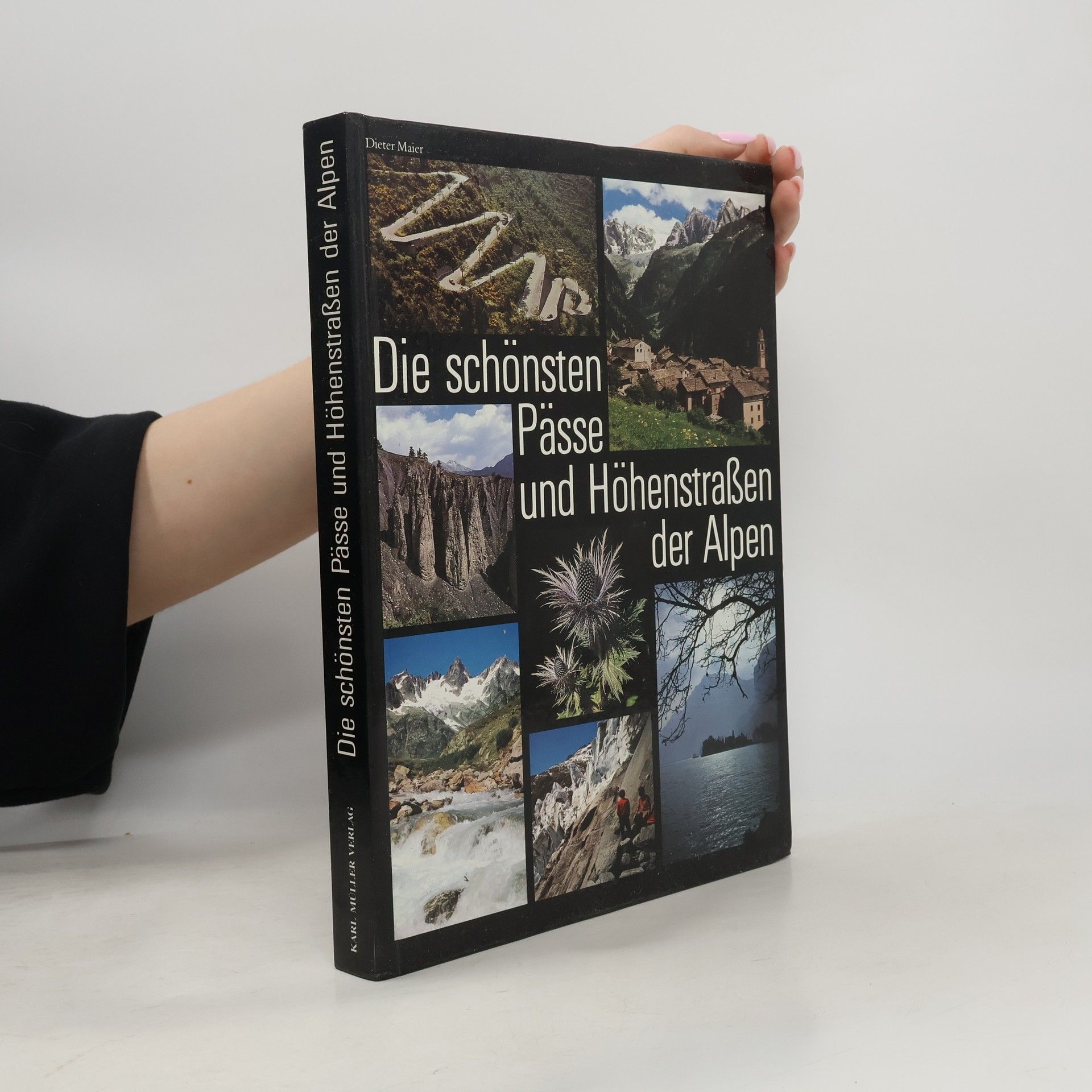 Dieter Maier Die schönsten Pässe und Höhenstraßen der Alpen.