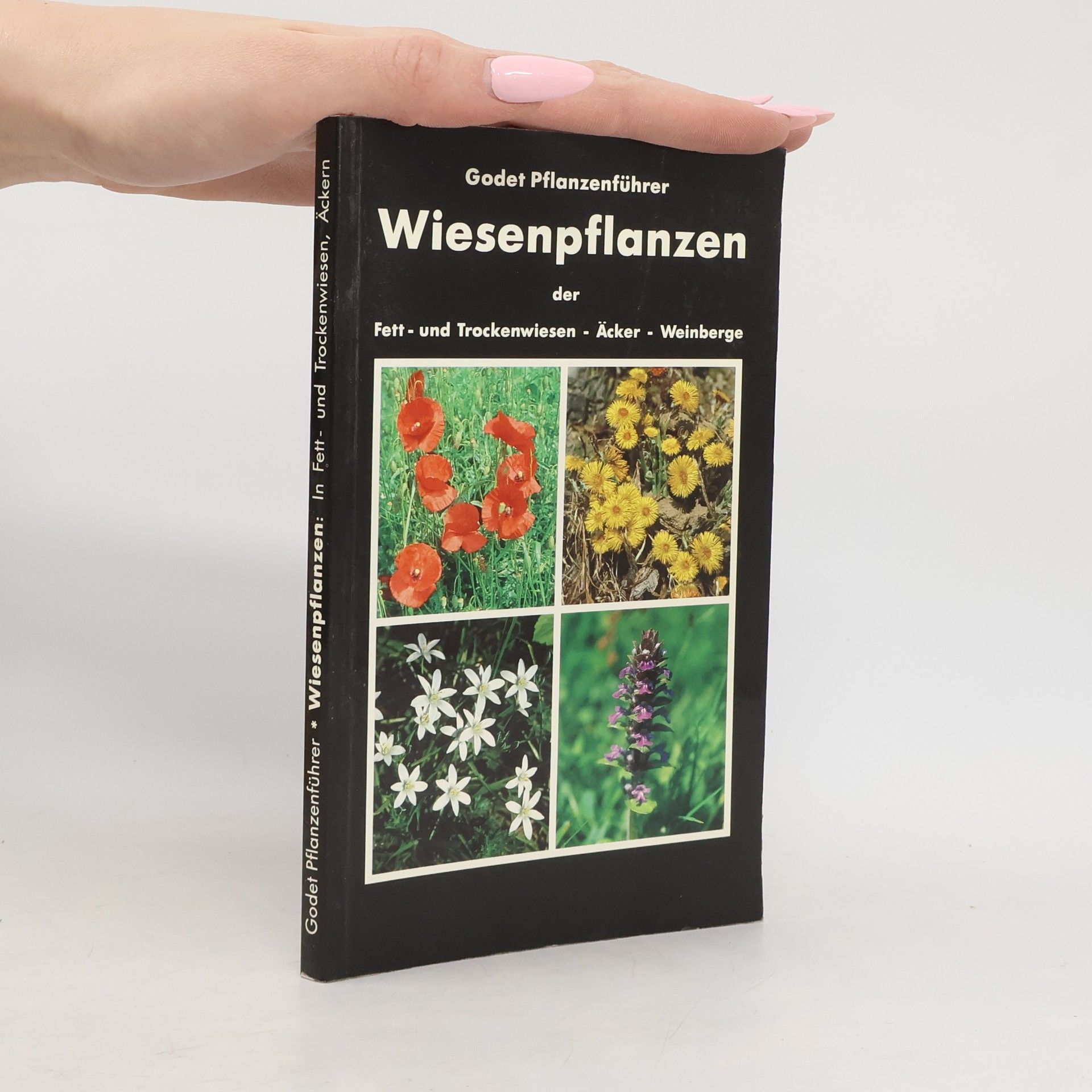 Wiesenpflanzen