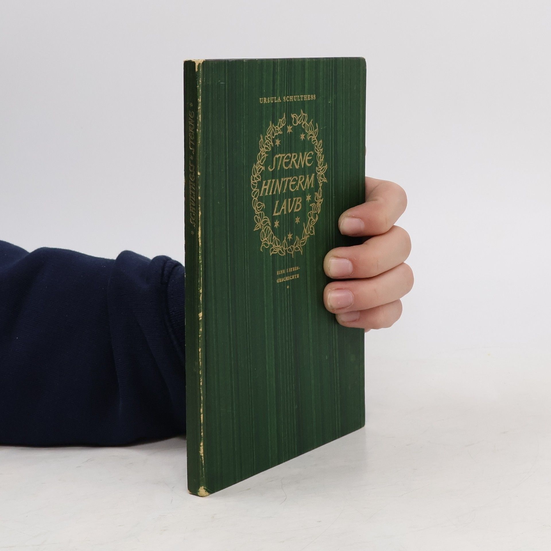 Ursula Schulthess Sterne hinterm Laub