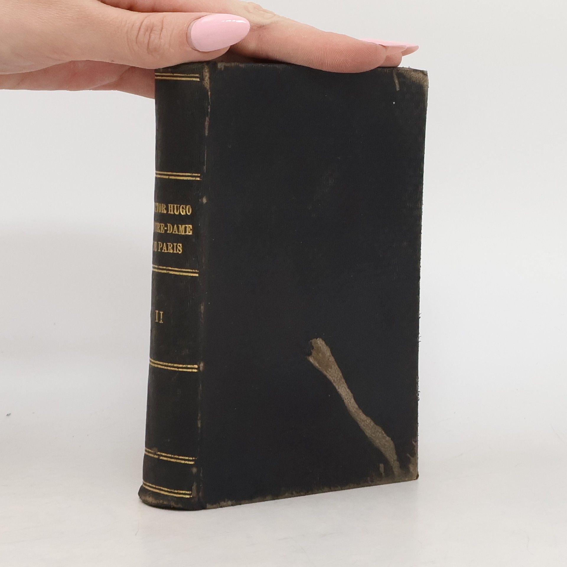 Victor Hugo Notre-Dame in Paris II.