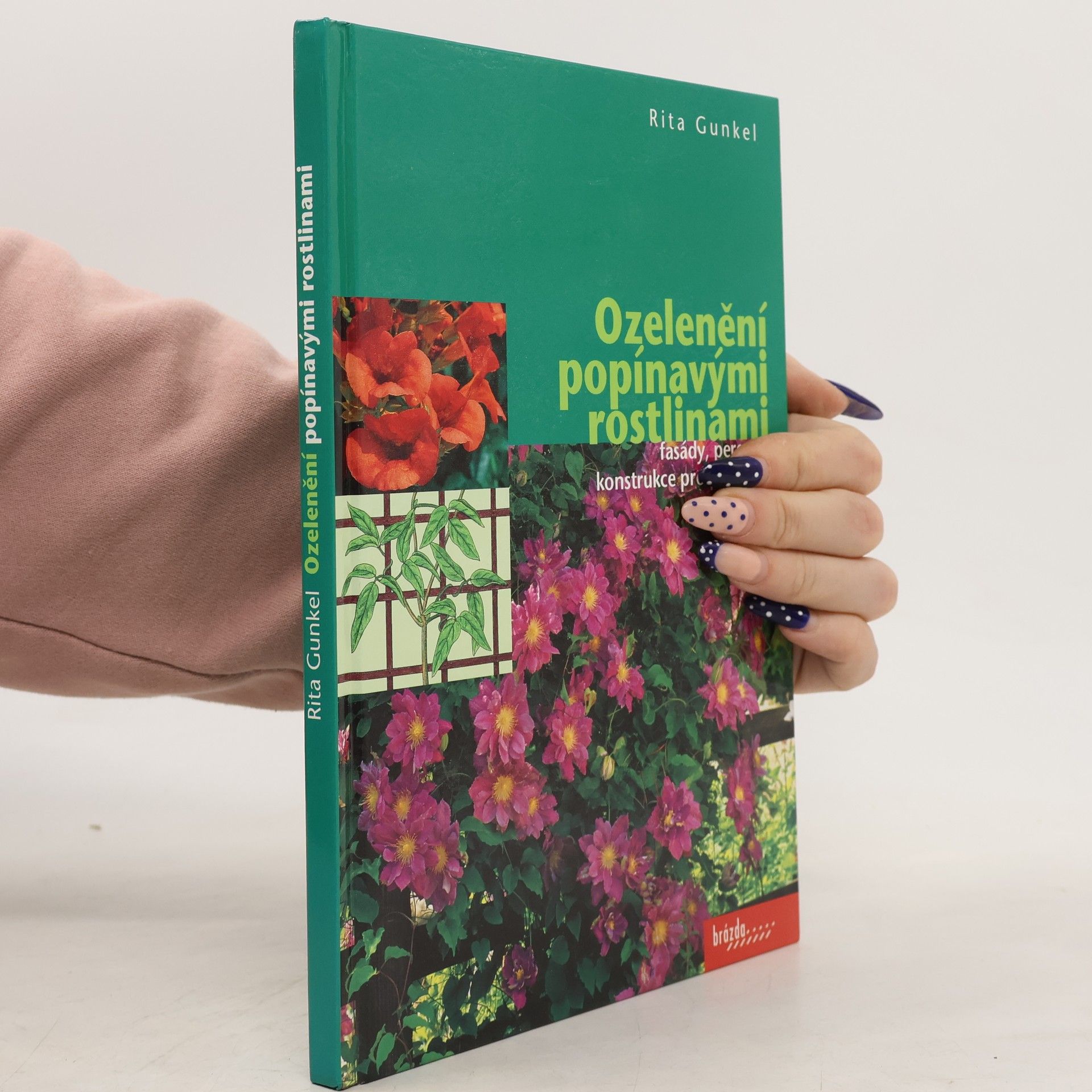 Rita Gunkel Ozelenění popínavými rostlinami