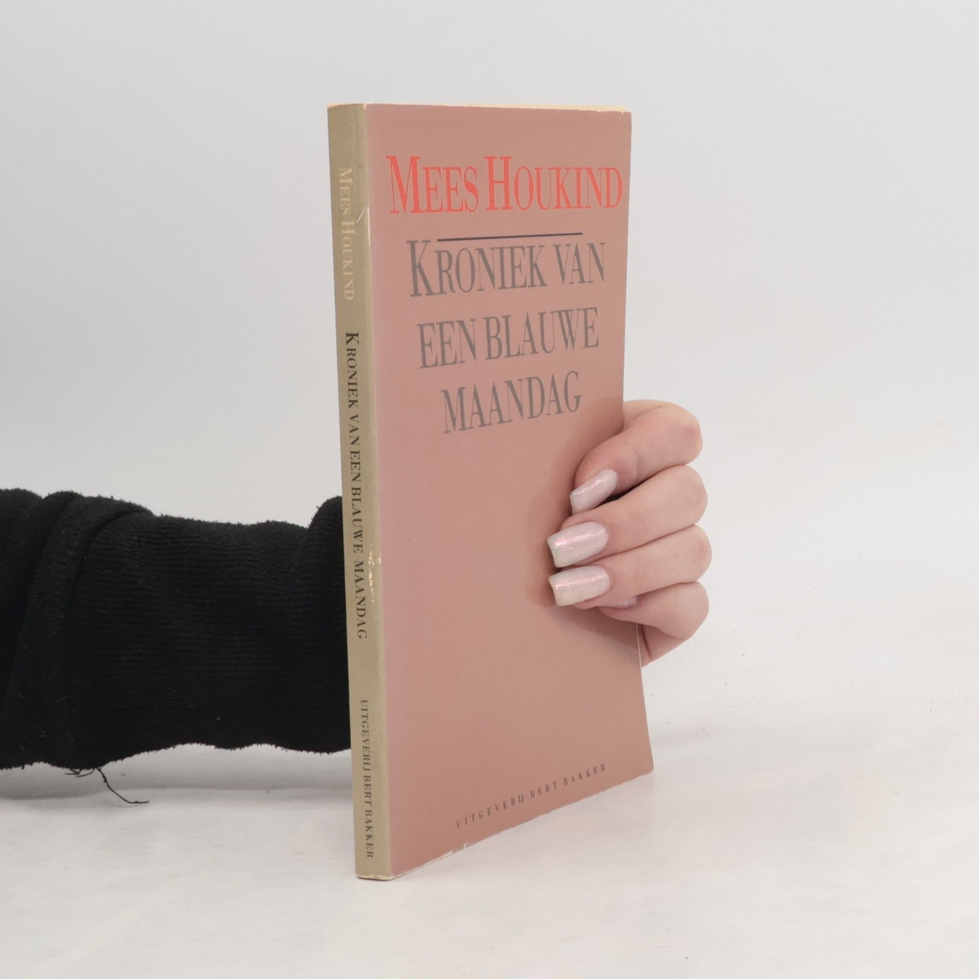 Mees Houkind Kroniek van een blauwe maandag