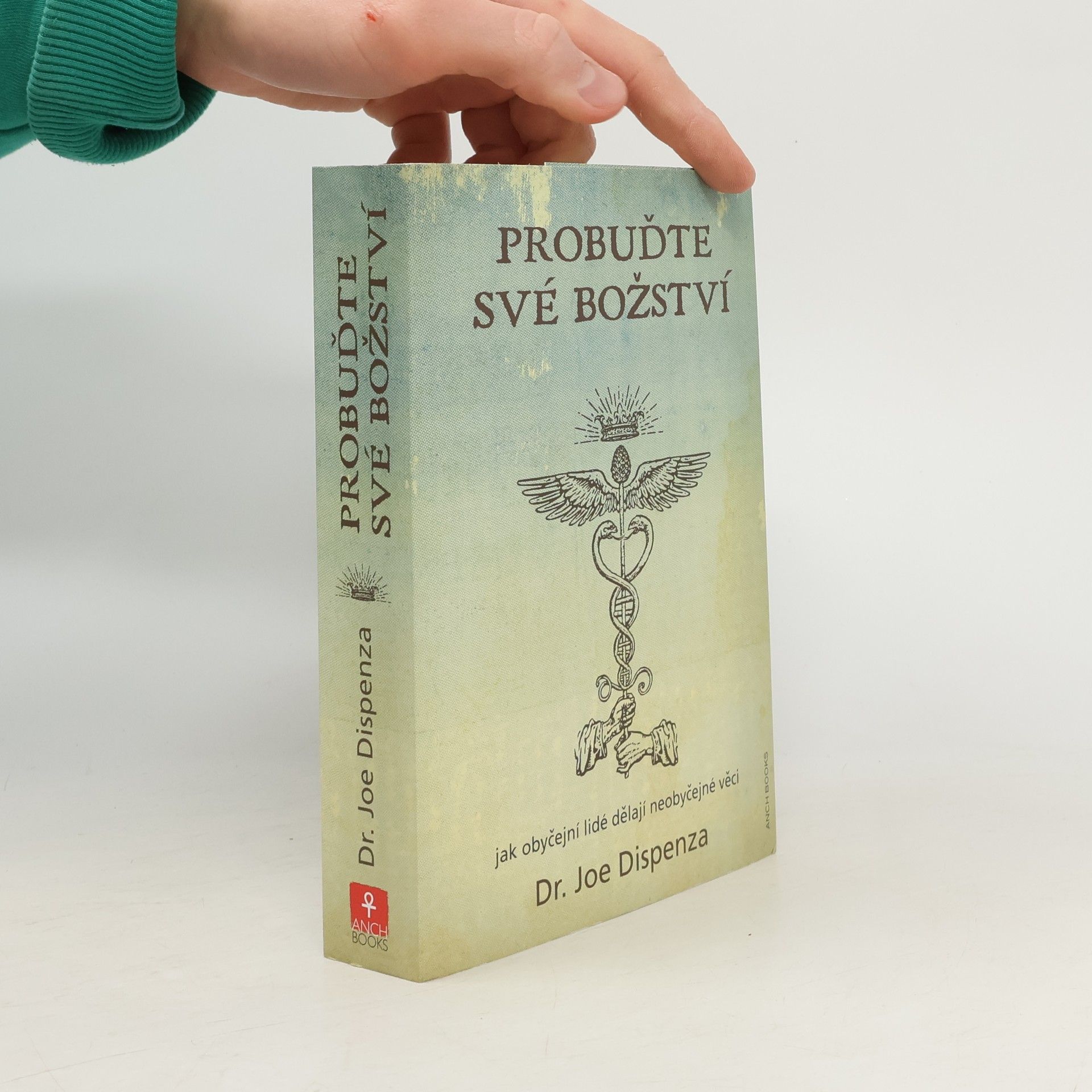 Probuďte své božství : jak obyčejní lidé dělají neobyčejné věci