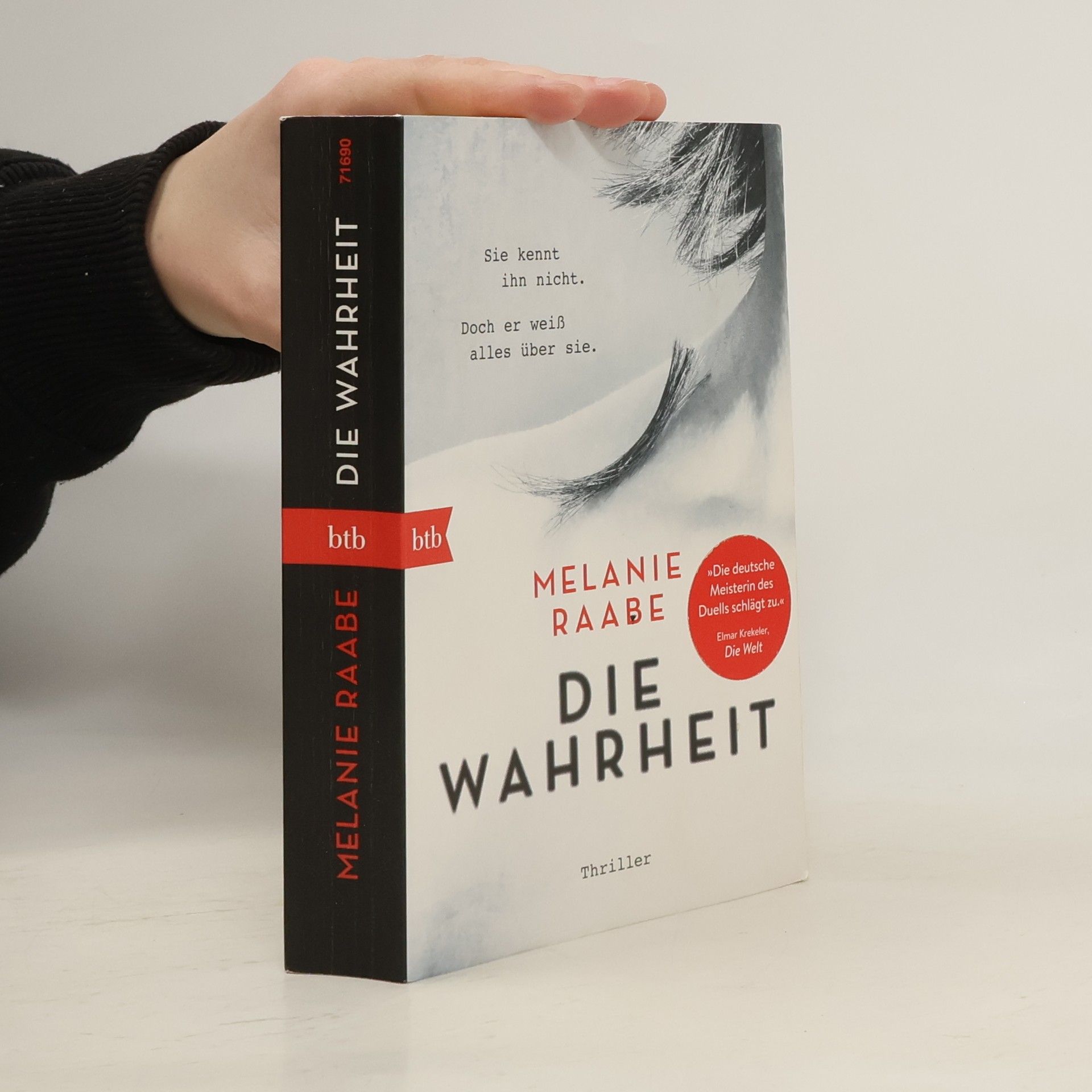 Melanie Raabe Die Wahrheit