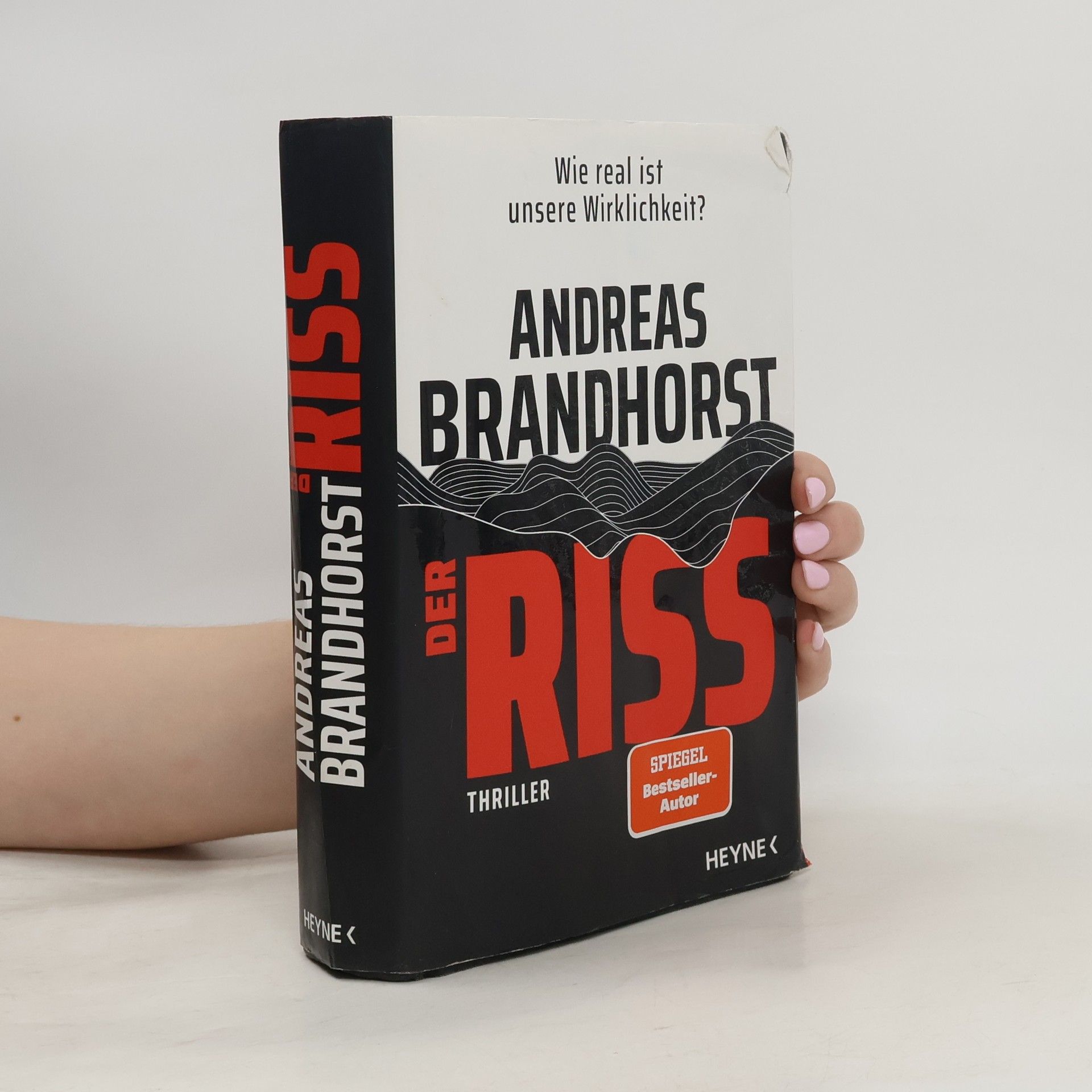 Andreas Brandhorst Der Riss