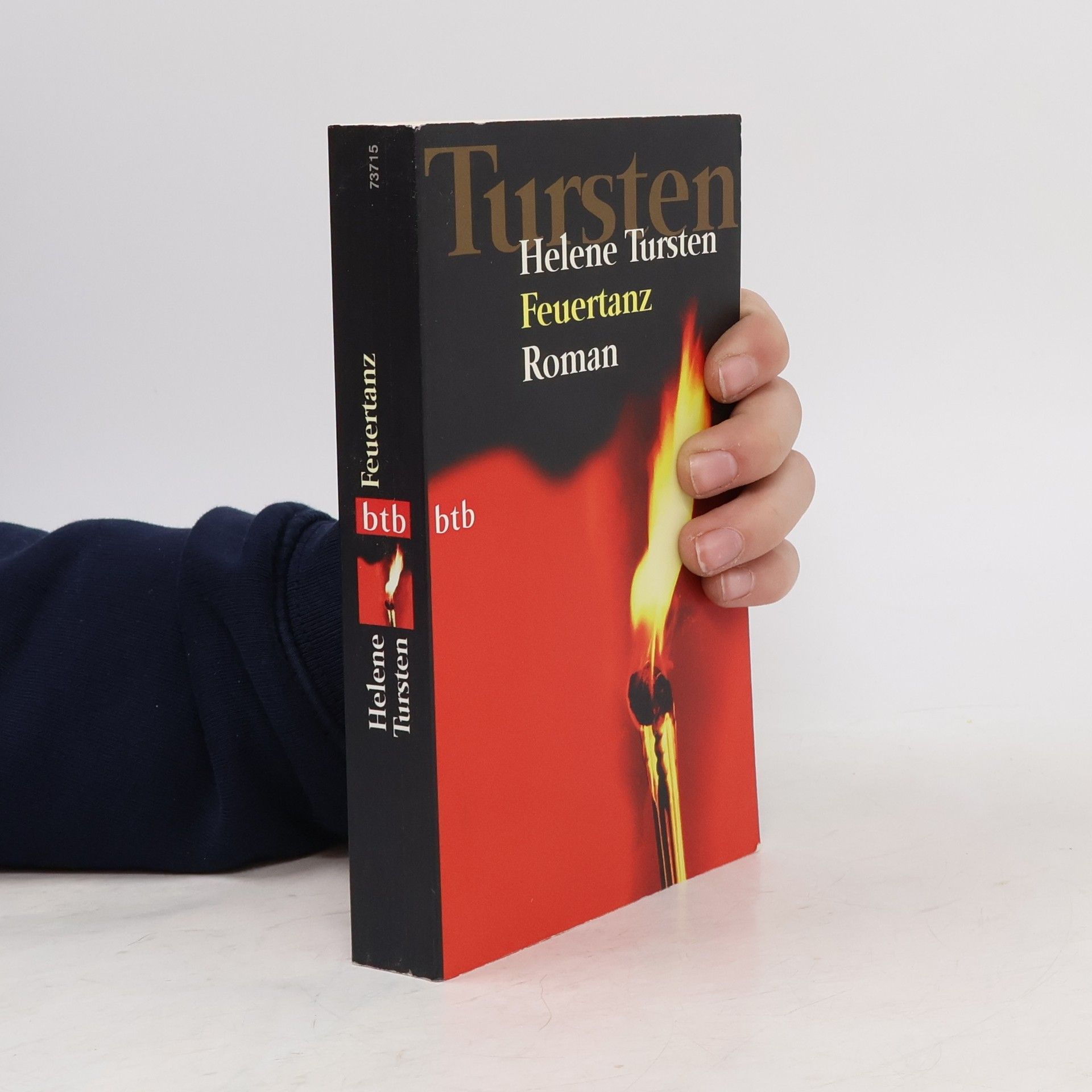 Helene Tursten Feuertanz