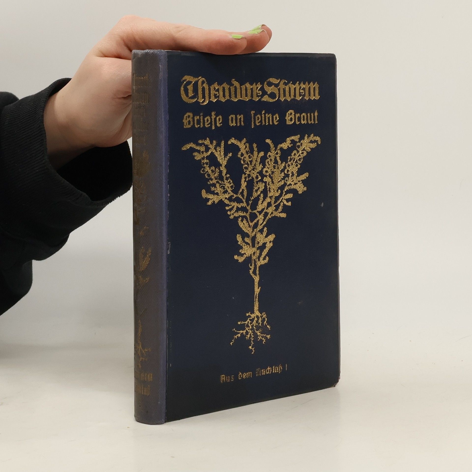 Theodor Storm Briefe an feine Braut