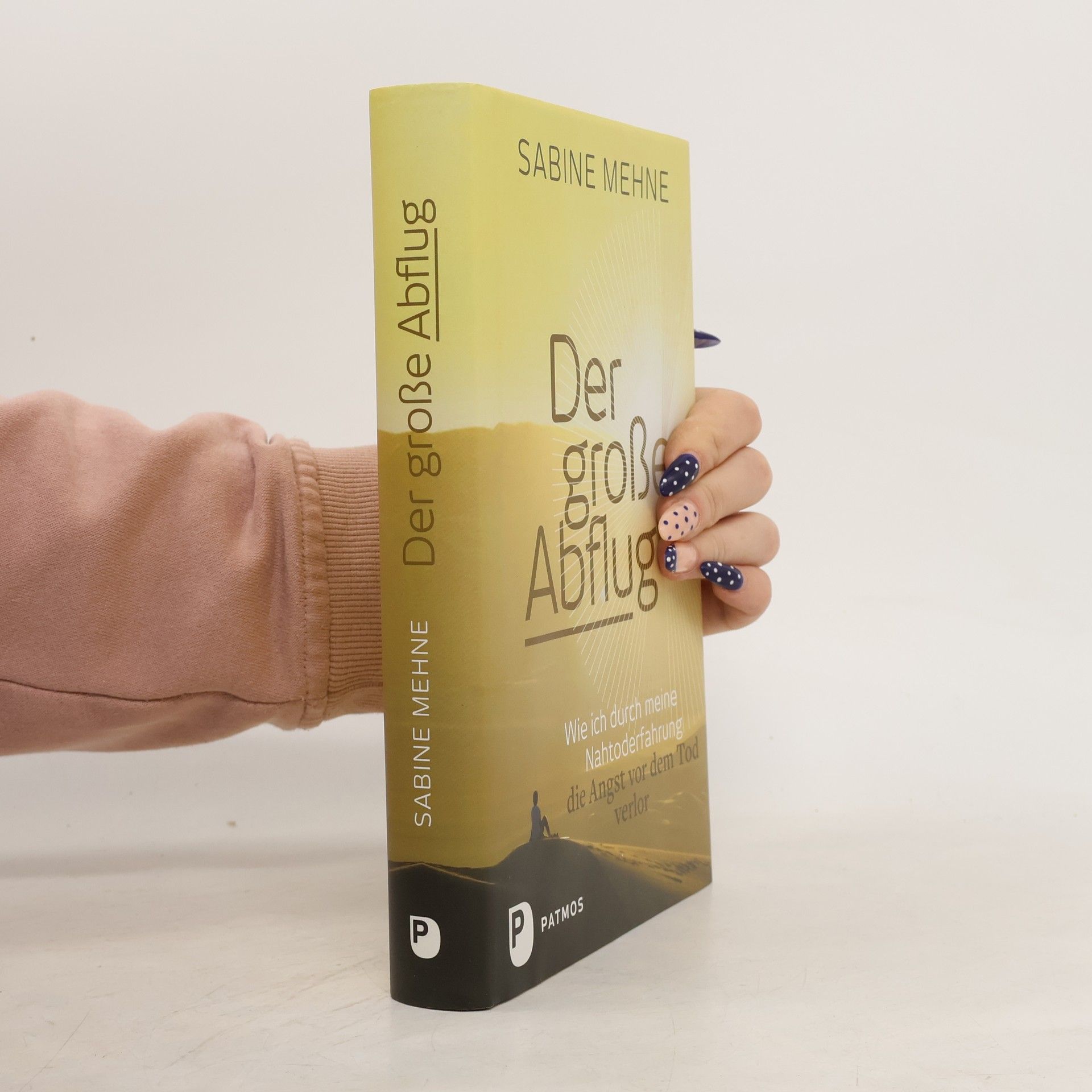 Sabine Mehne Der große Abflug