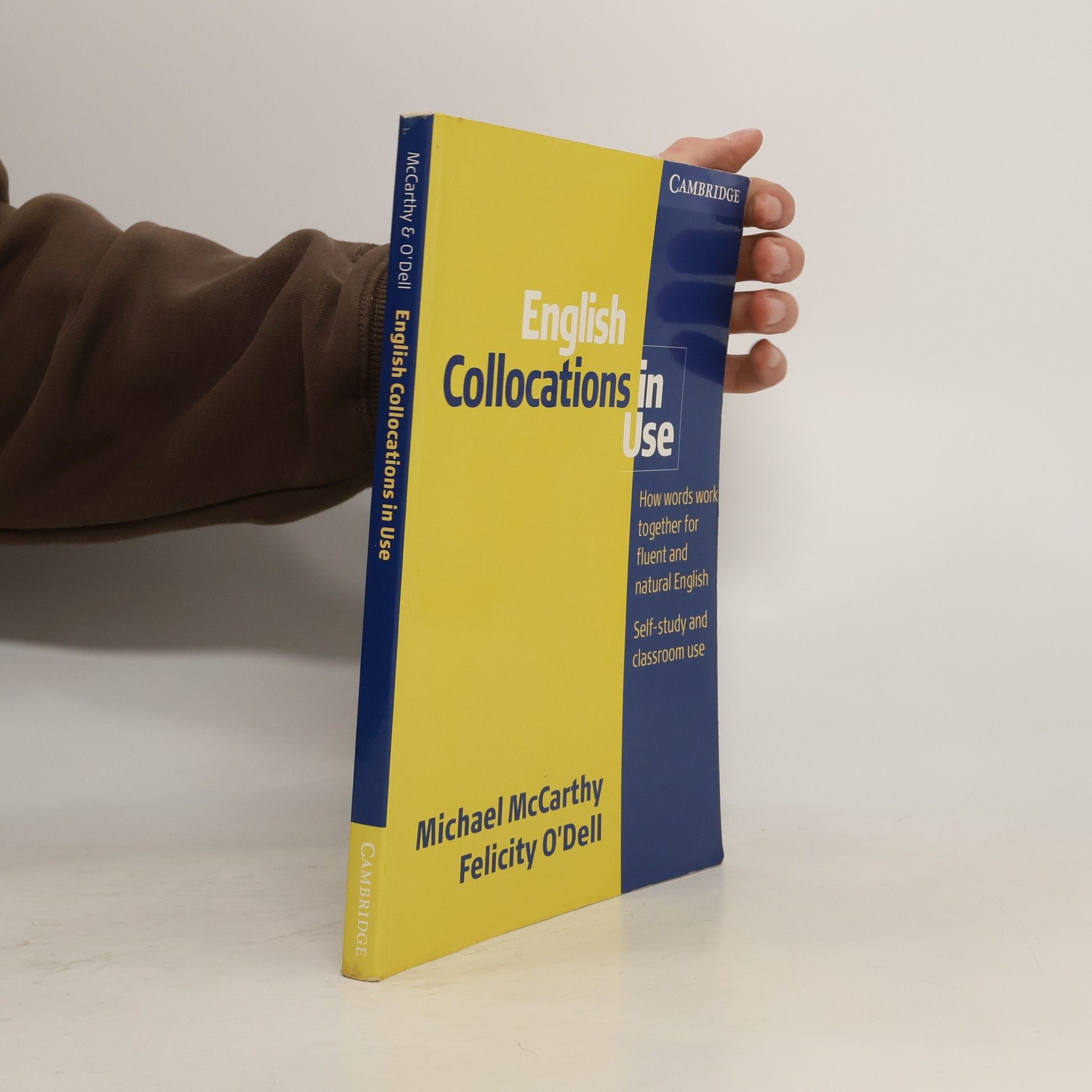 Michael Mc Carthy English collocations in use