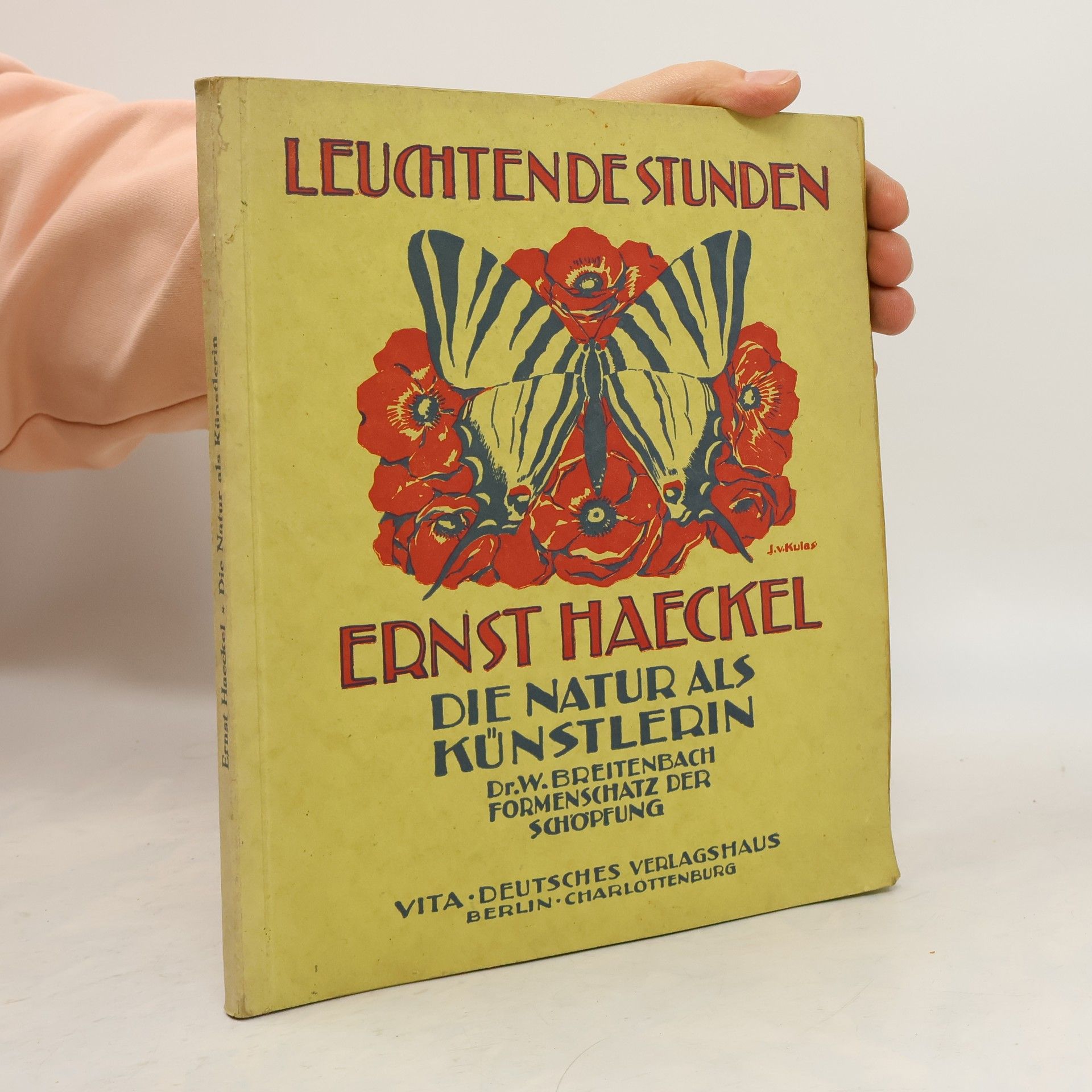 Ernst Haeckel Leuchtende Studen. Die Natur als Künstlerin