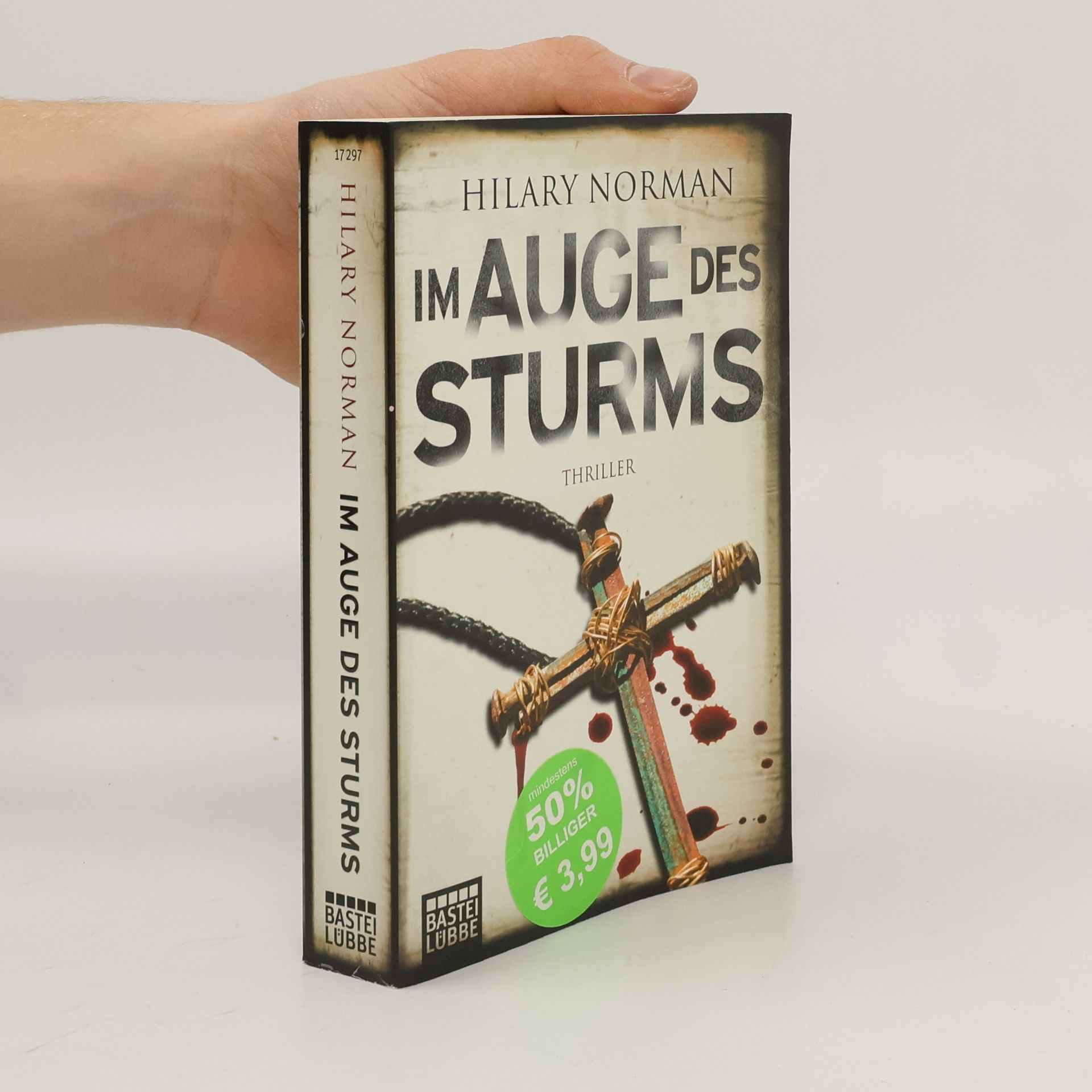 Hilary Norman Im Auge des Sturms