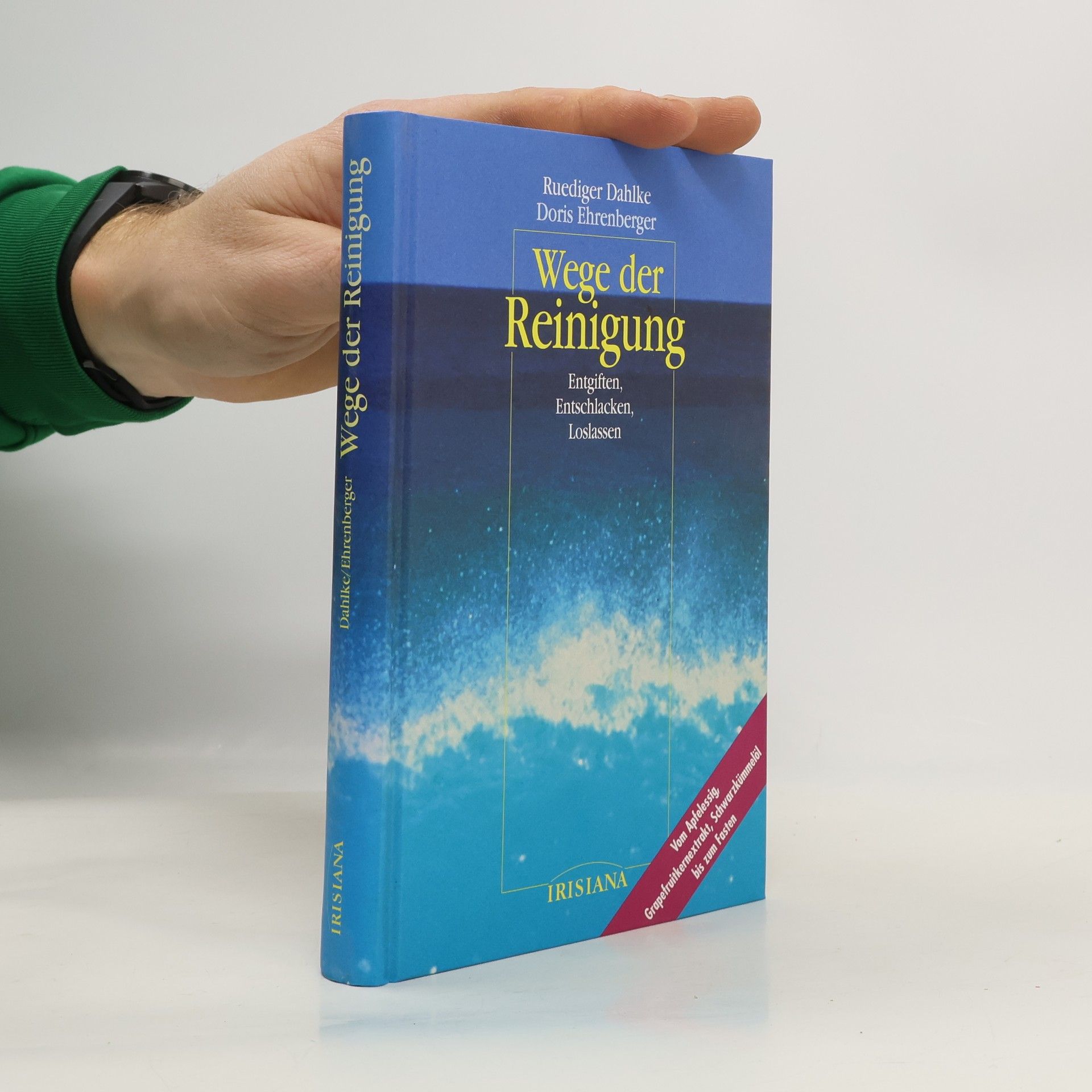 Ruediger Dahlke Wege der Reinigung