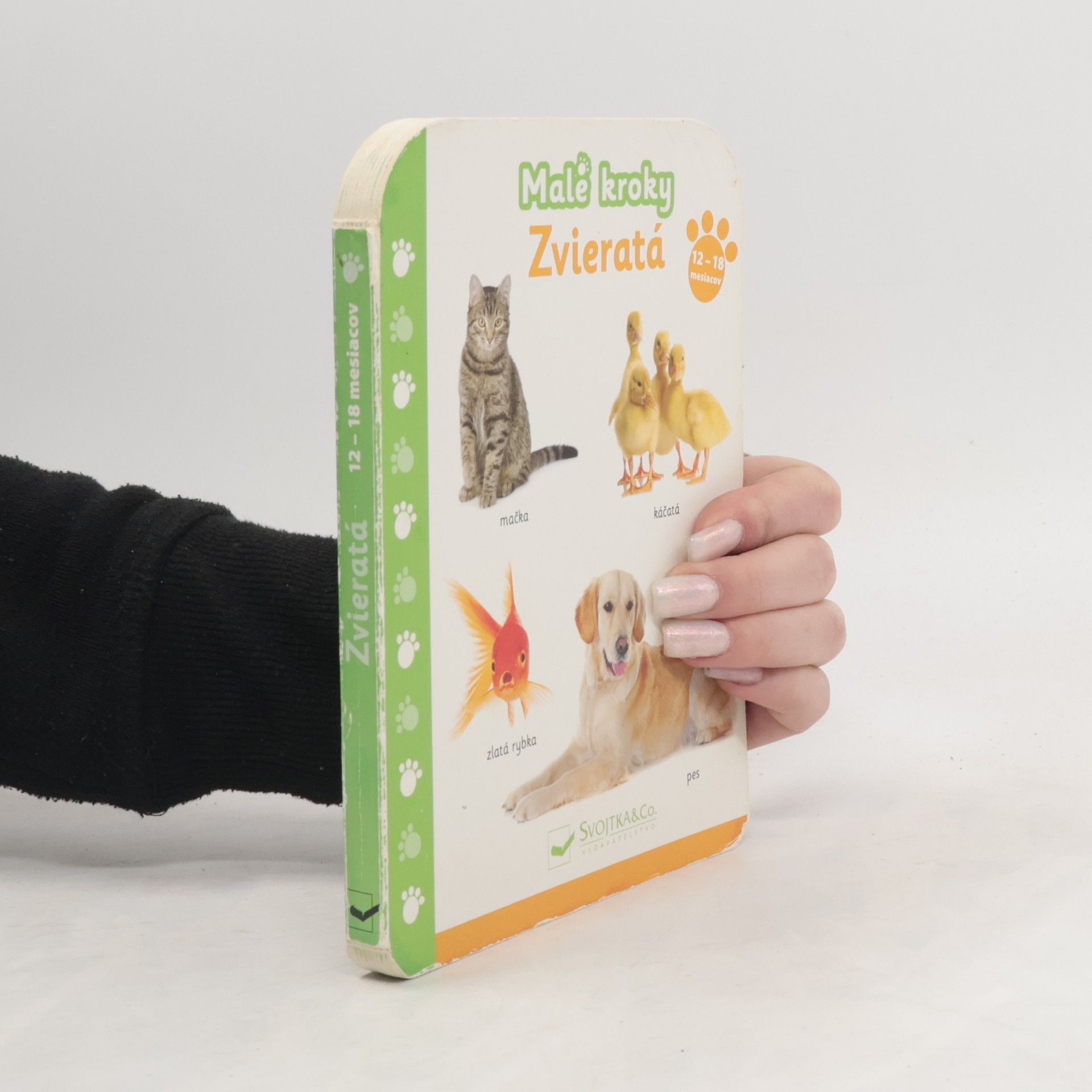 Collectif d'auteurs Zvieratá 12+ mesiacov malé kroky