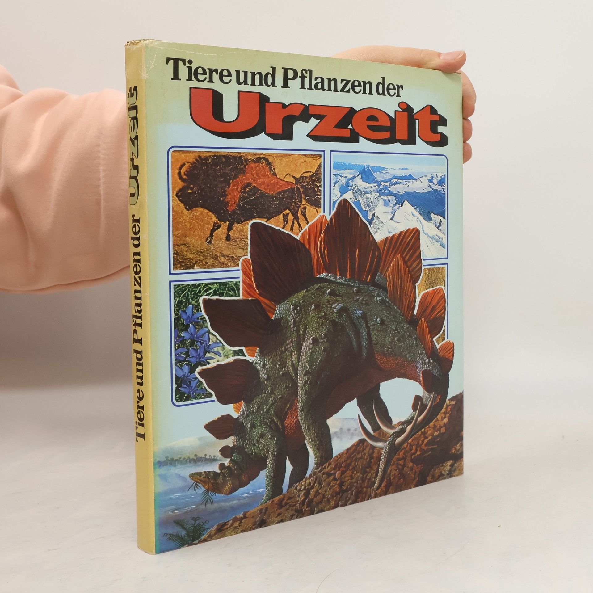 Collectif d'auteurs Tiere und Pflanzen der Urzeit