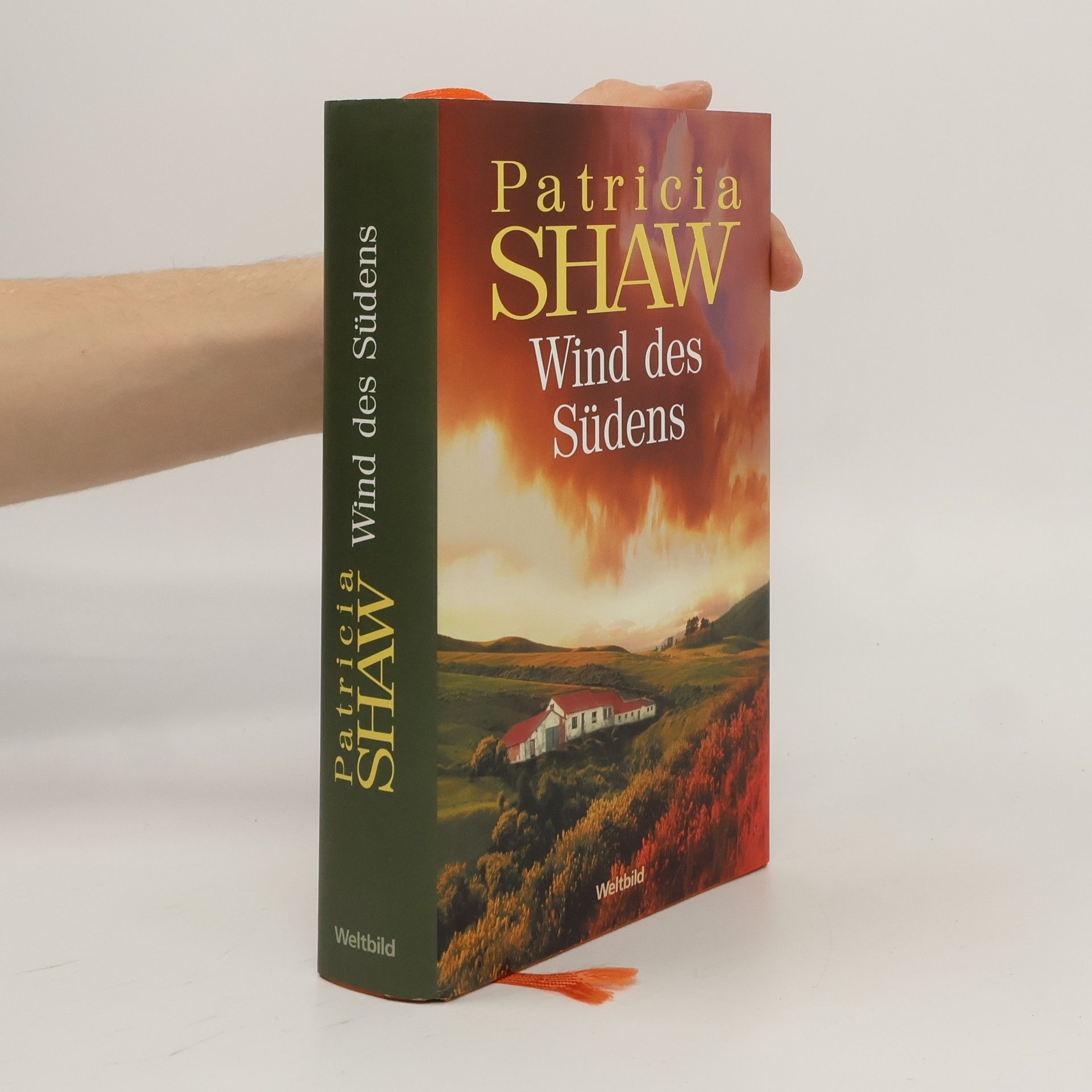 Patricia Shaw Wind des Südens