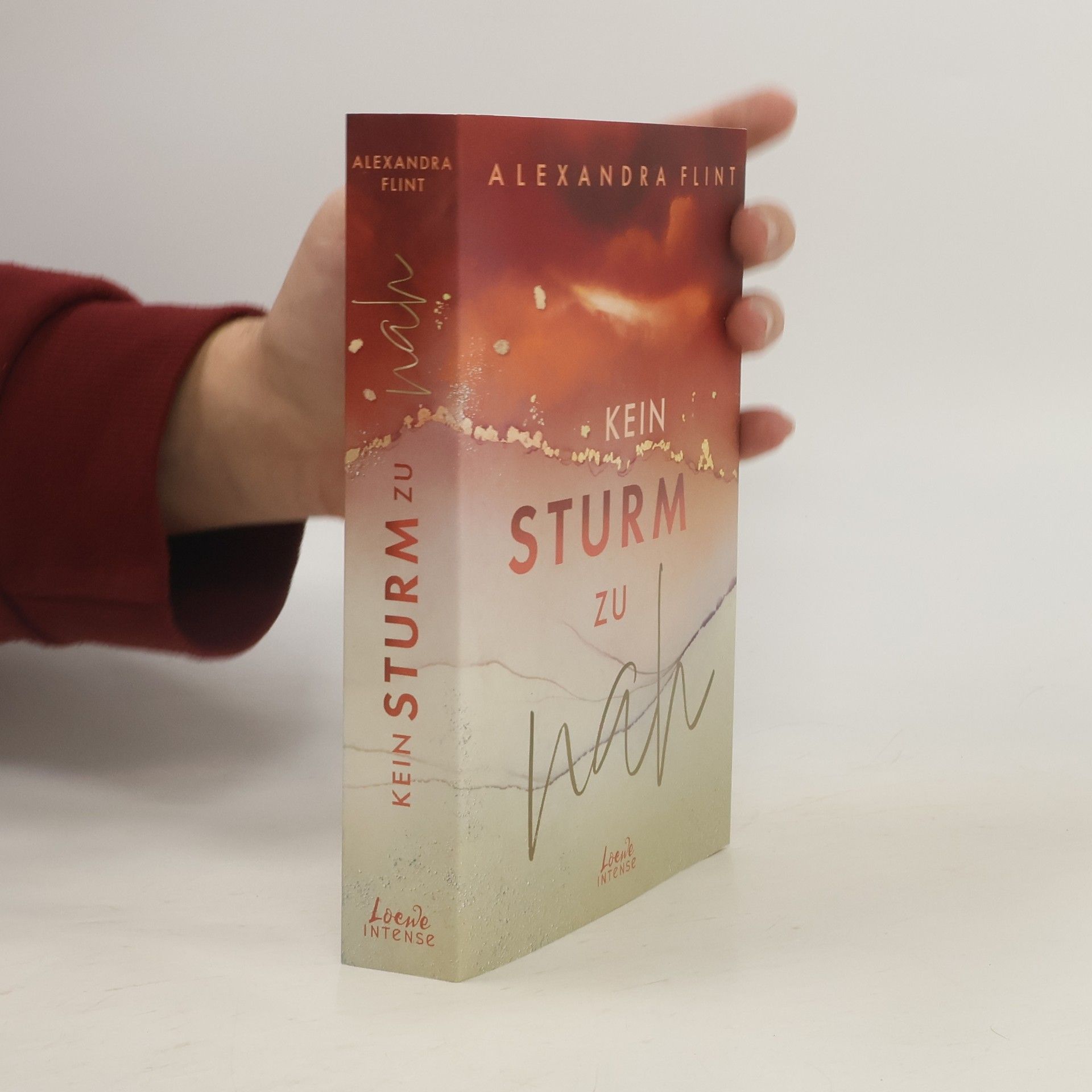 Alexandra Flint Kein Sturm zu nah (Tales of Sylt, Band 2)