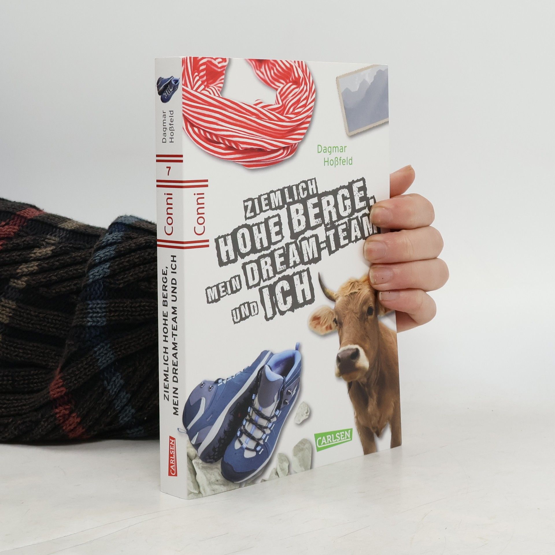 Dagmar Hossfeld Ziemlich hohe Berge, mein Dream-Team und ich