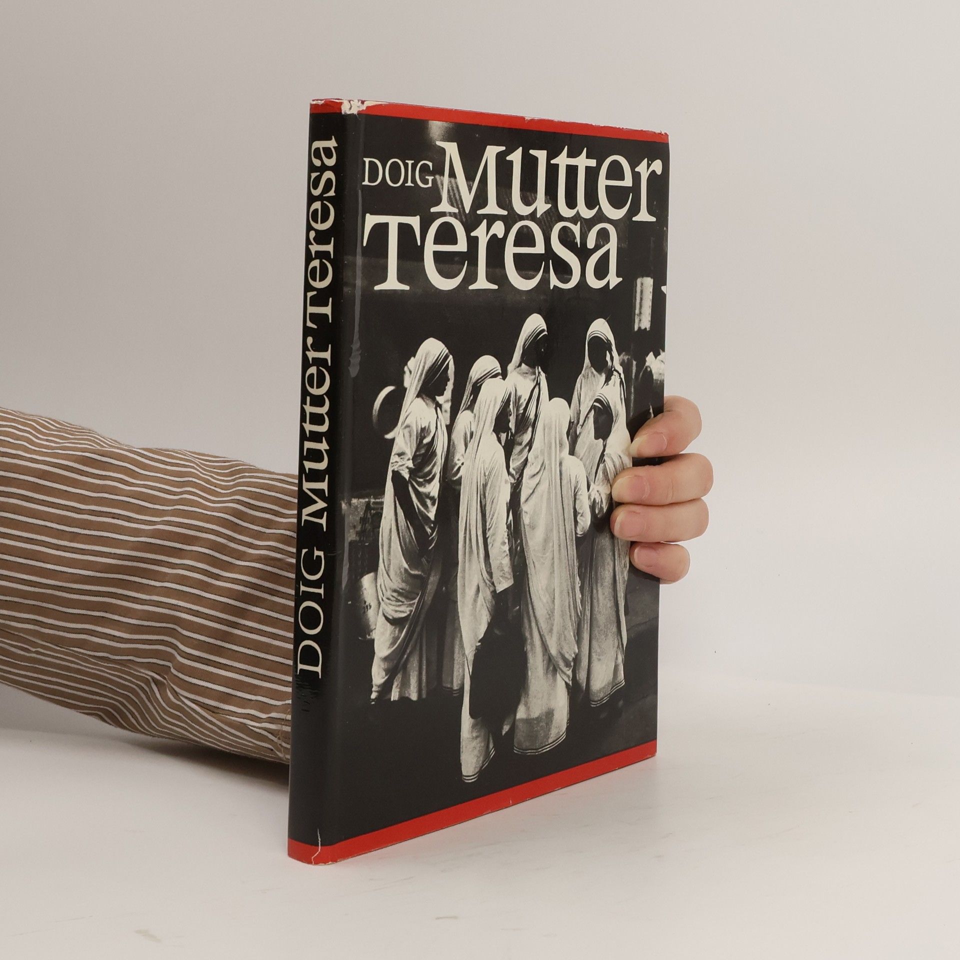 Desmond Doig Mutter Teresa